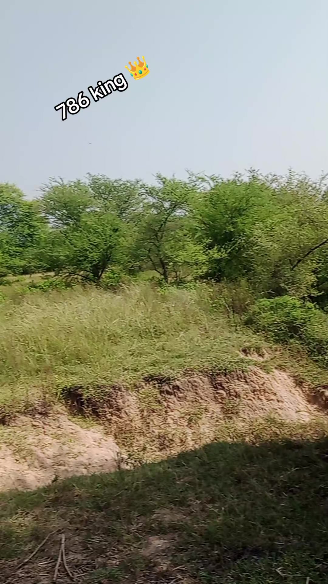 @چوہدری نثار مندیال