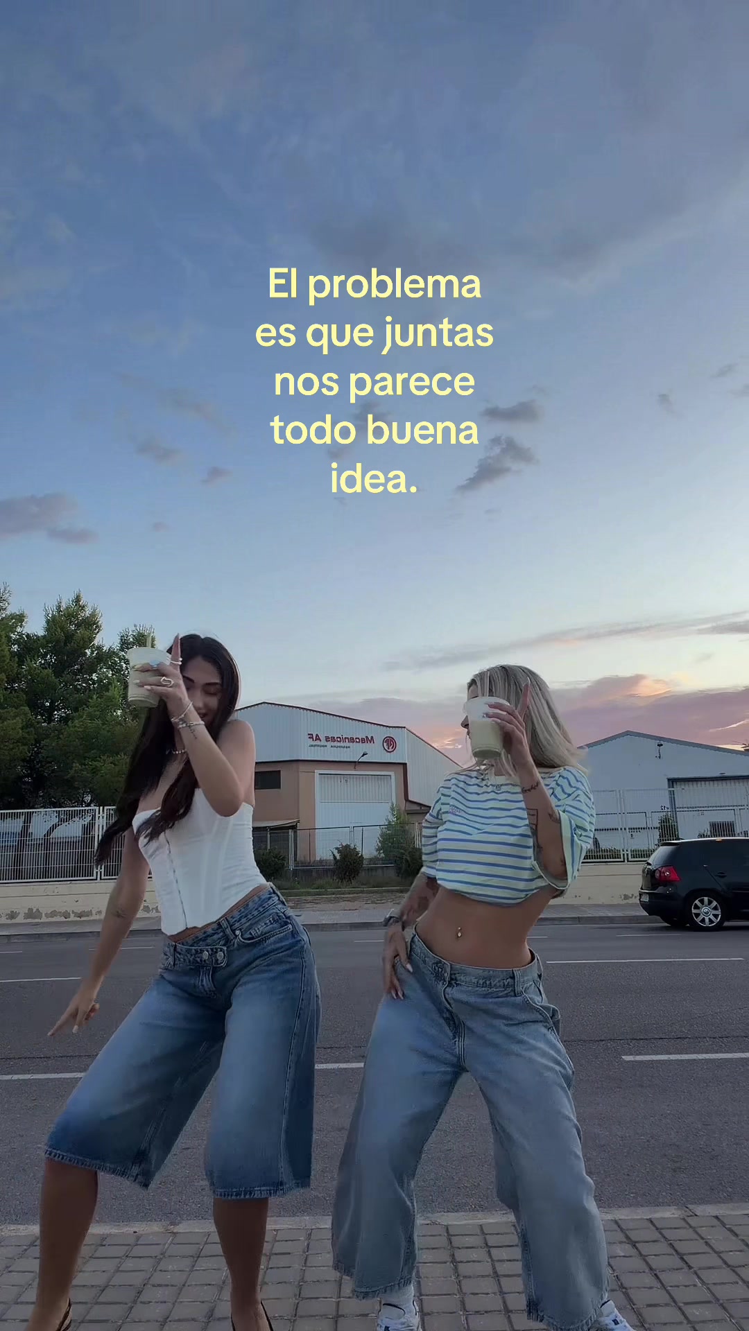 @selenacirstea🦢