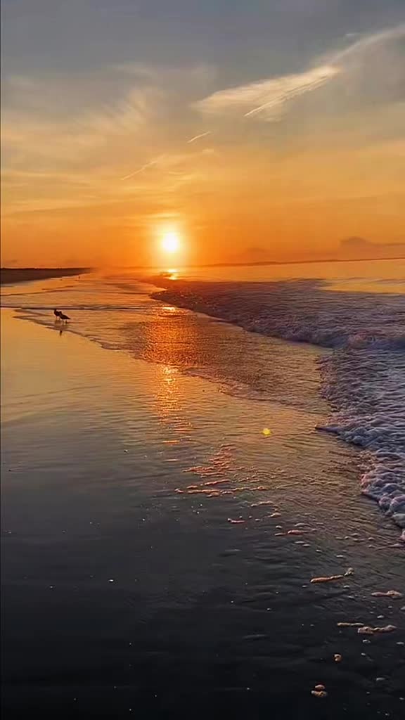 @alinmarcu327