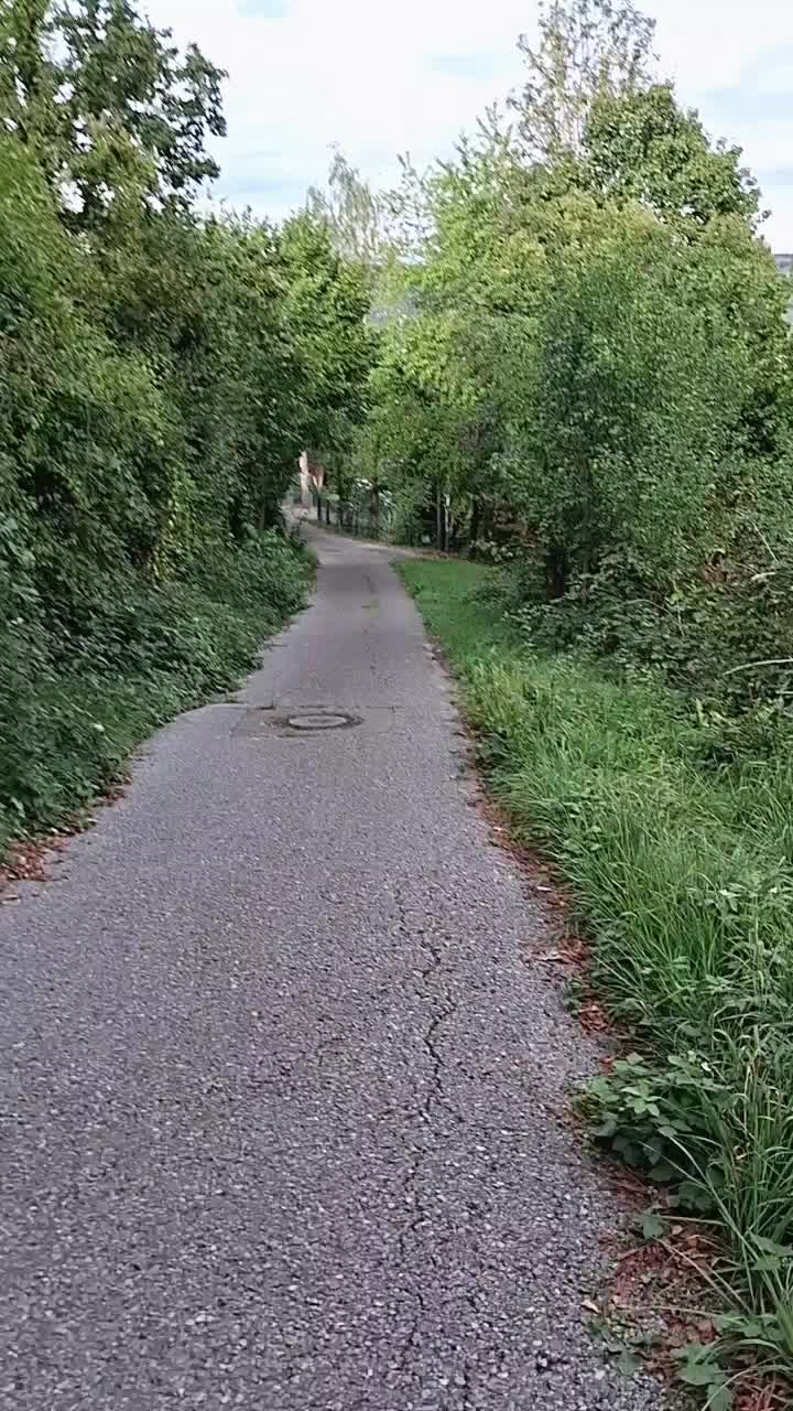 @🇷🇴Mihăiță🙈Gabriel🇩🇪