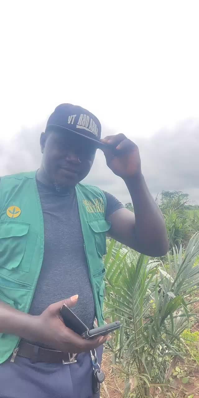 @BabaObaTv @Yuki Agro limited