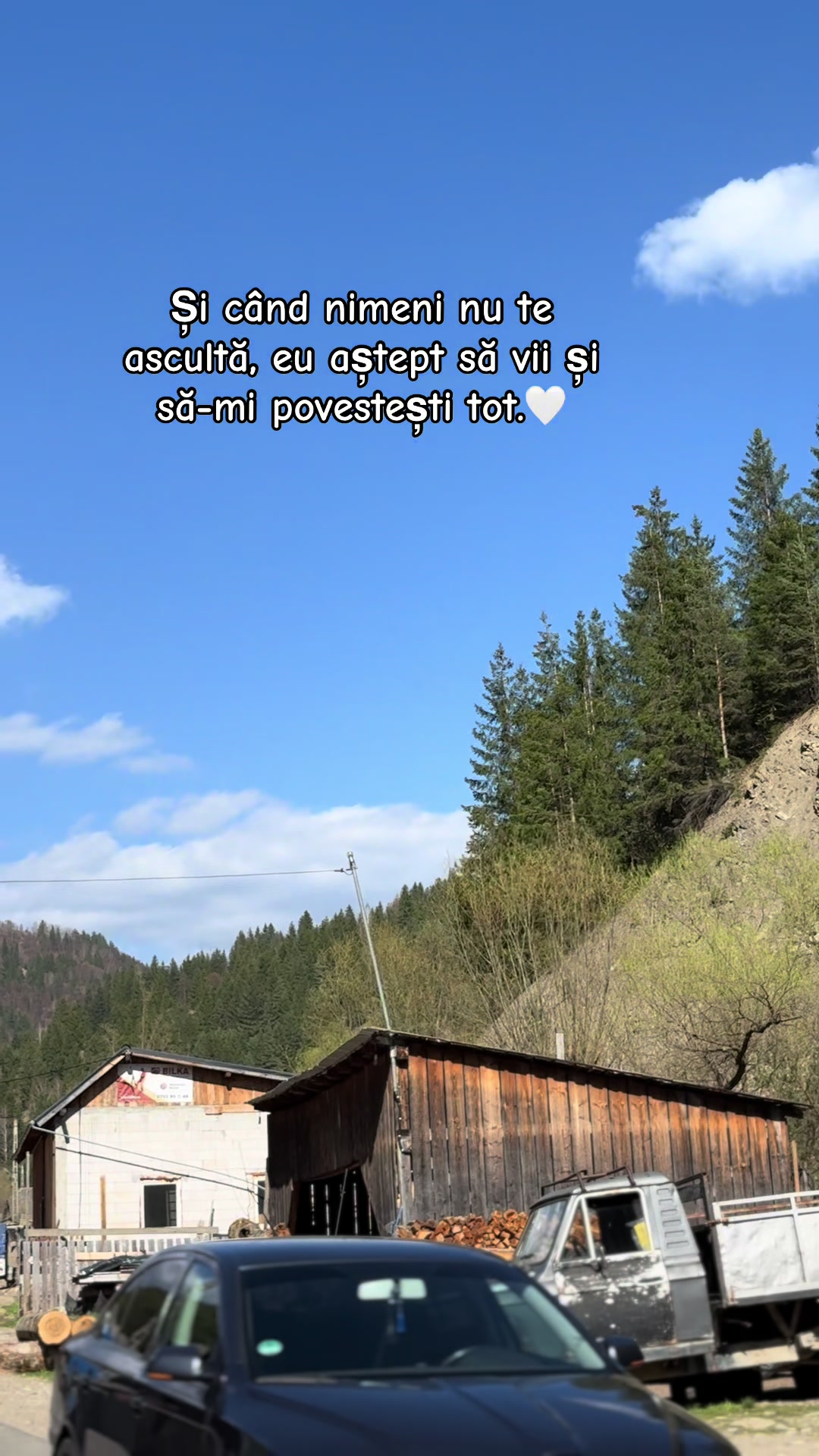 @Petruț Daniel