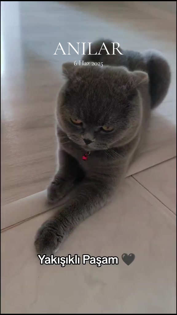 @g&uuml;l_ygt34