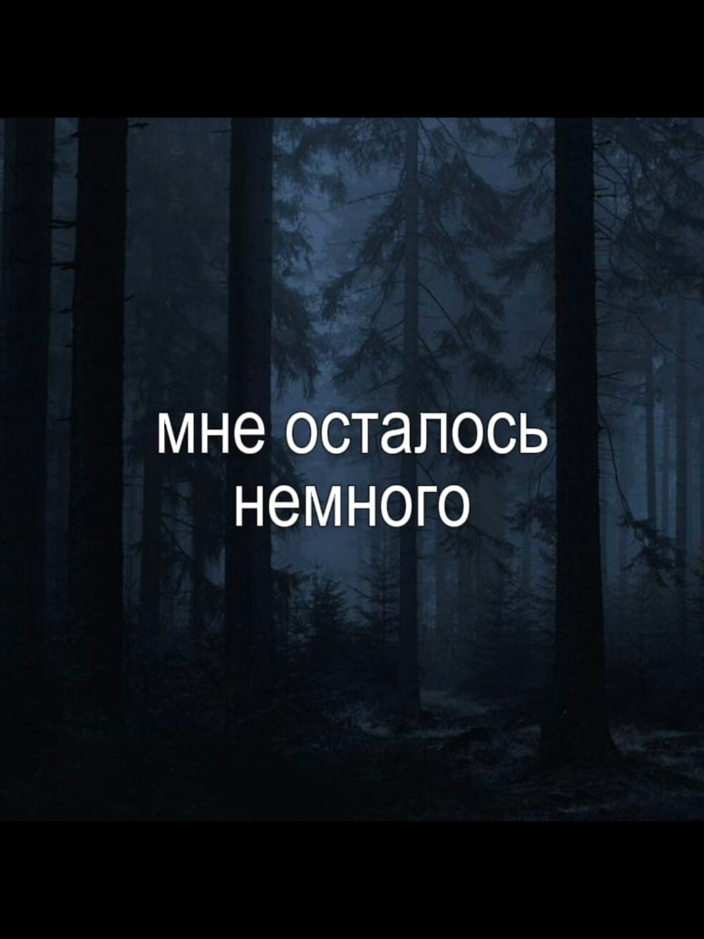 @🎶