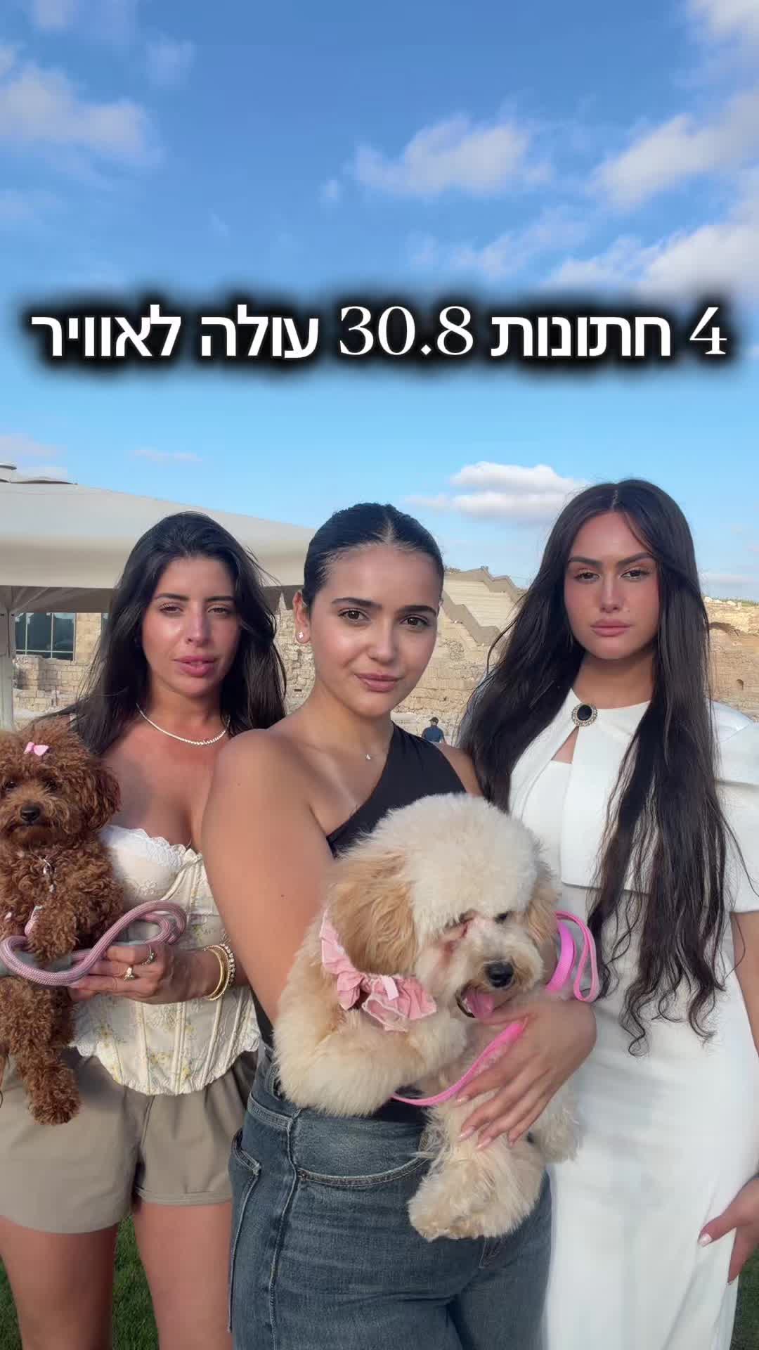 @noa_barak
