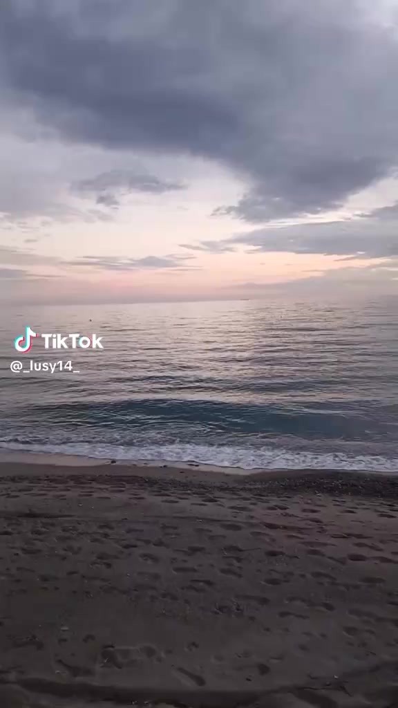@Enzo Cali
