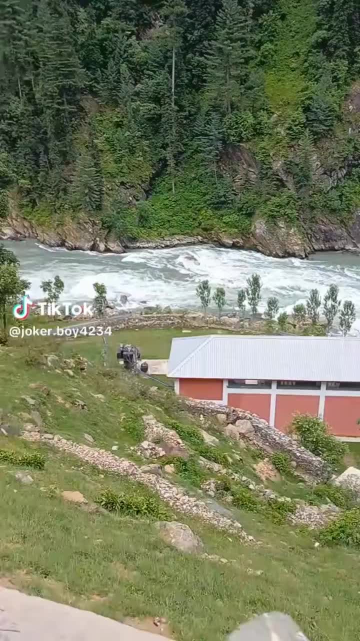 @jangli beli