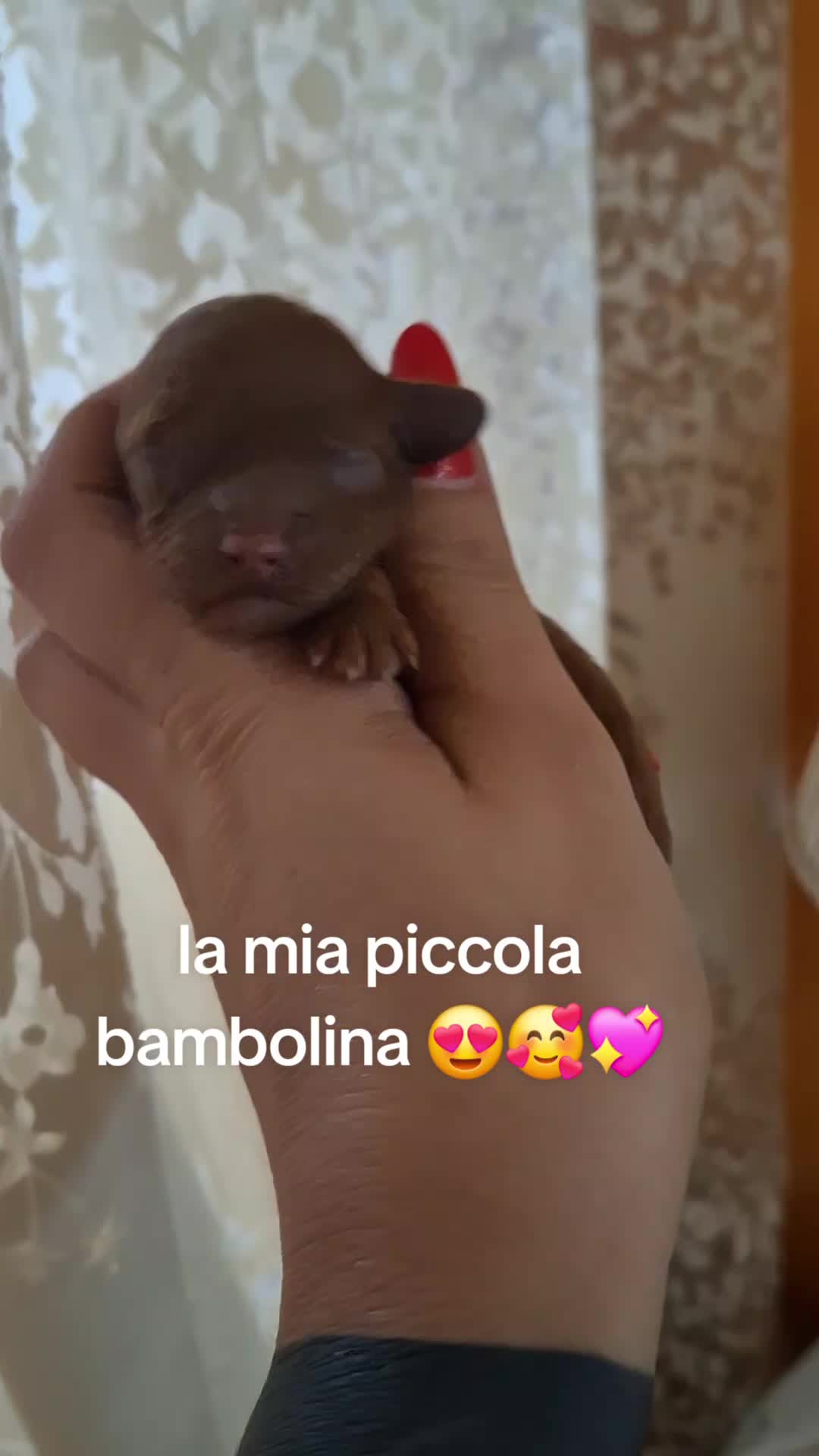 @Maria Spagnolo