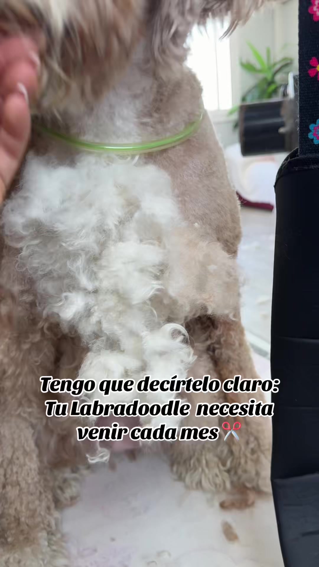 @Lidia L&oacute;pez