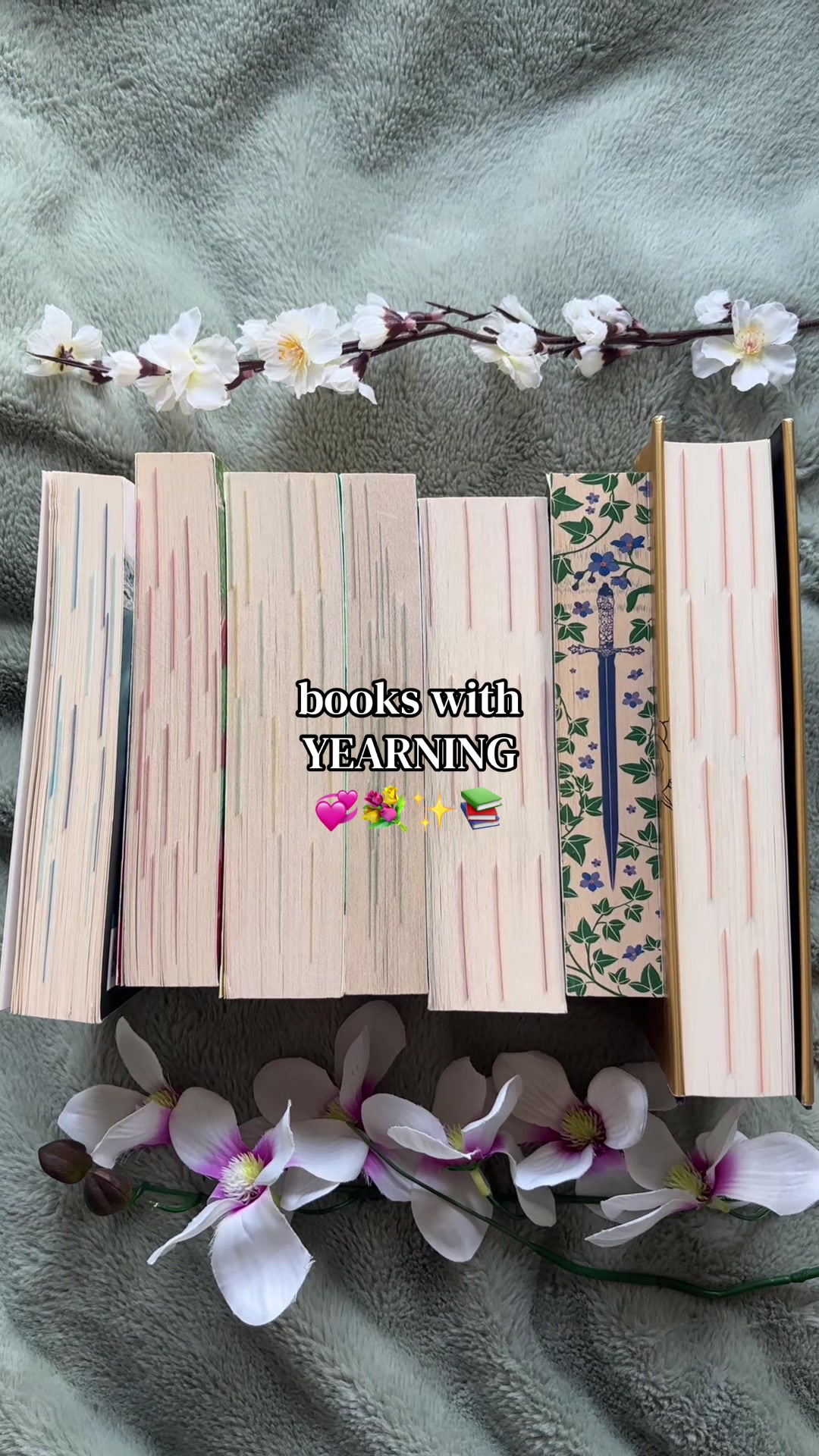 @📚amber ❀˖°ᥫ᭡