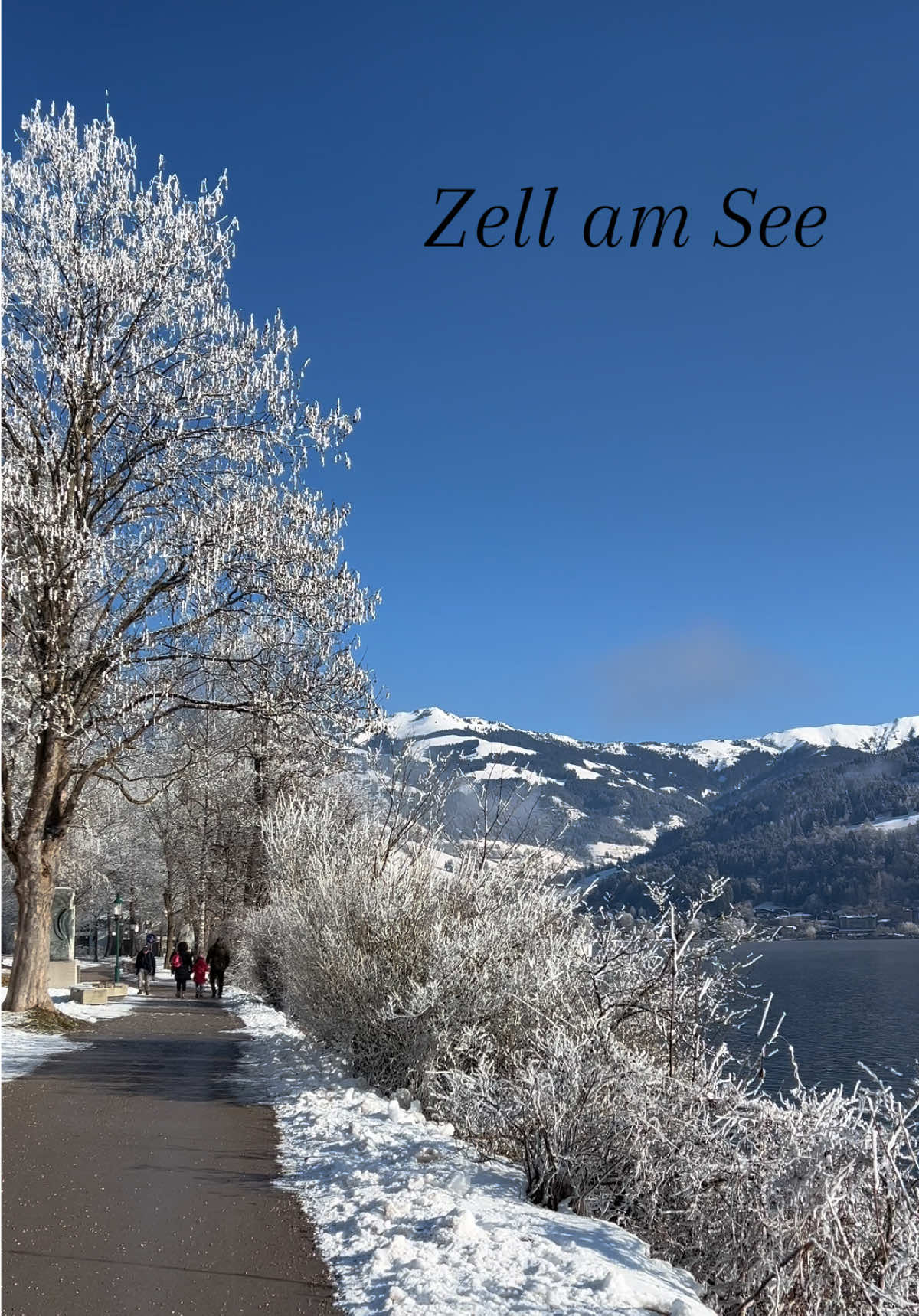 @Zellamsee Austria 🇦🇹