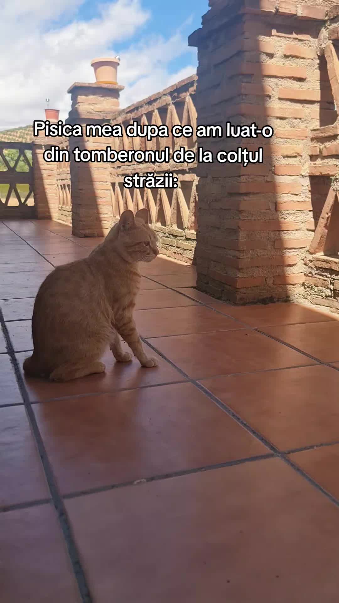 @Cristina