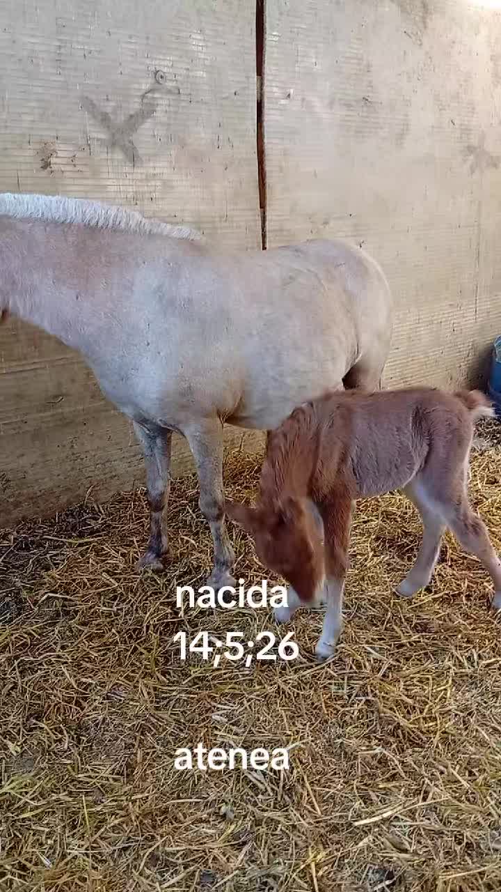 @dgz_65