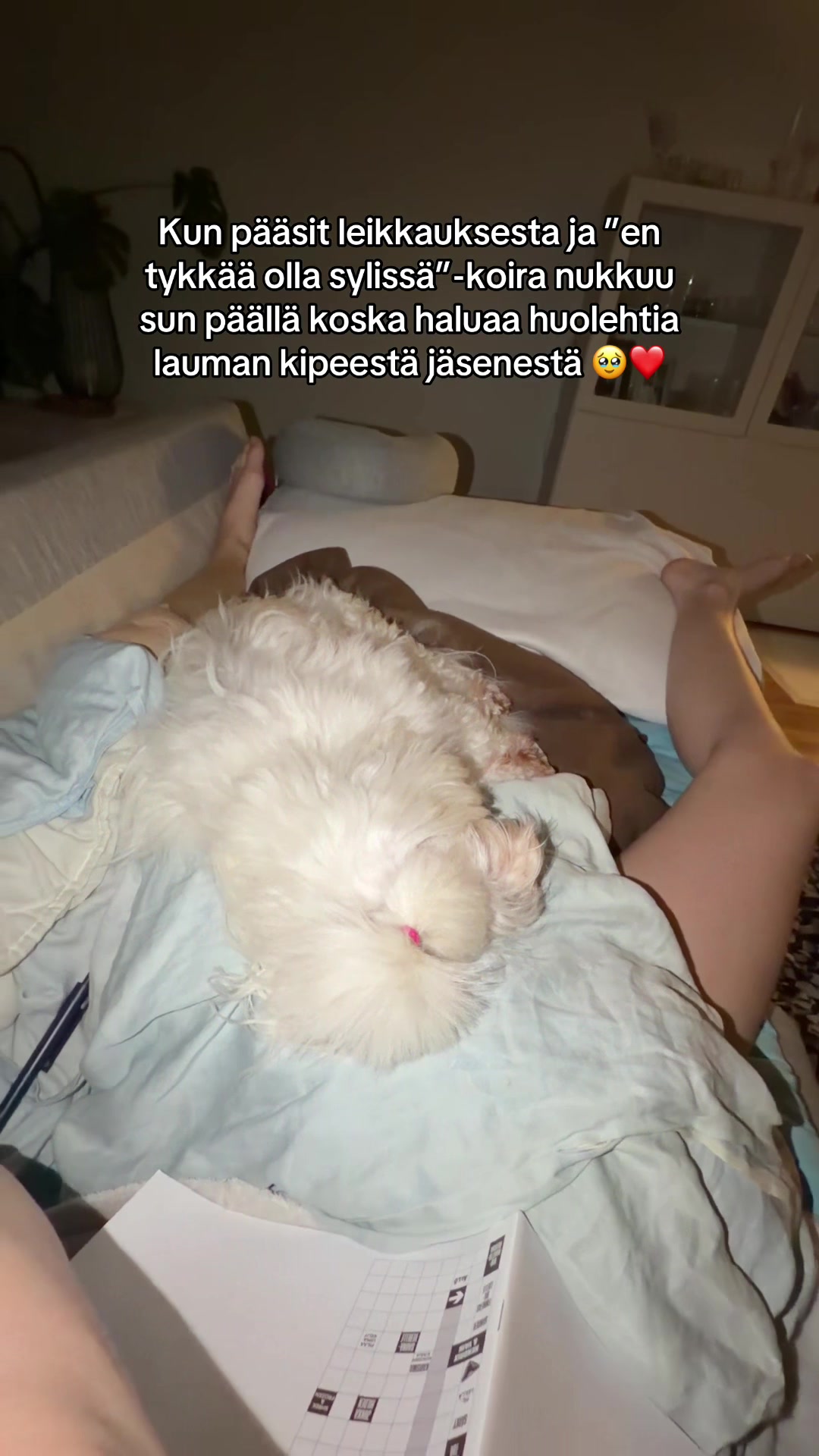 @Tiia Weckström