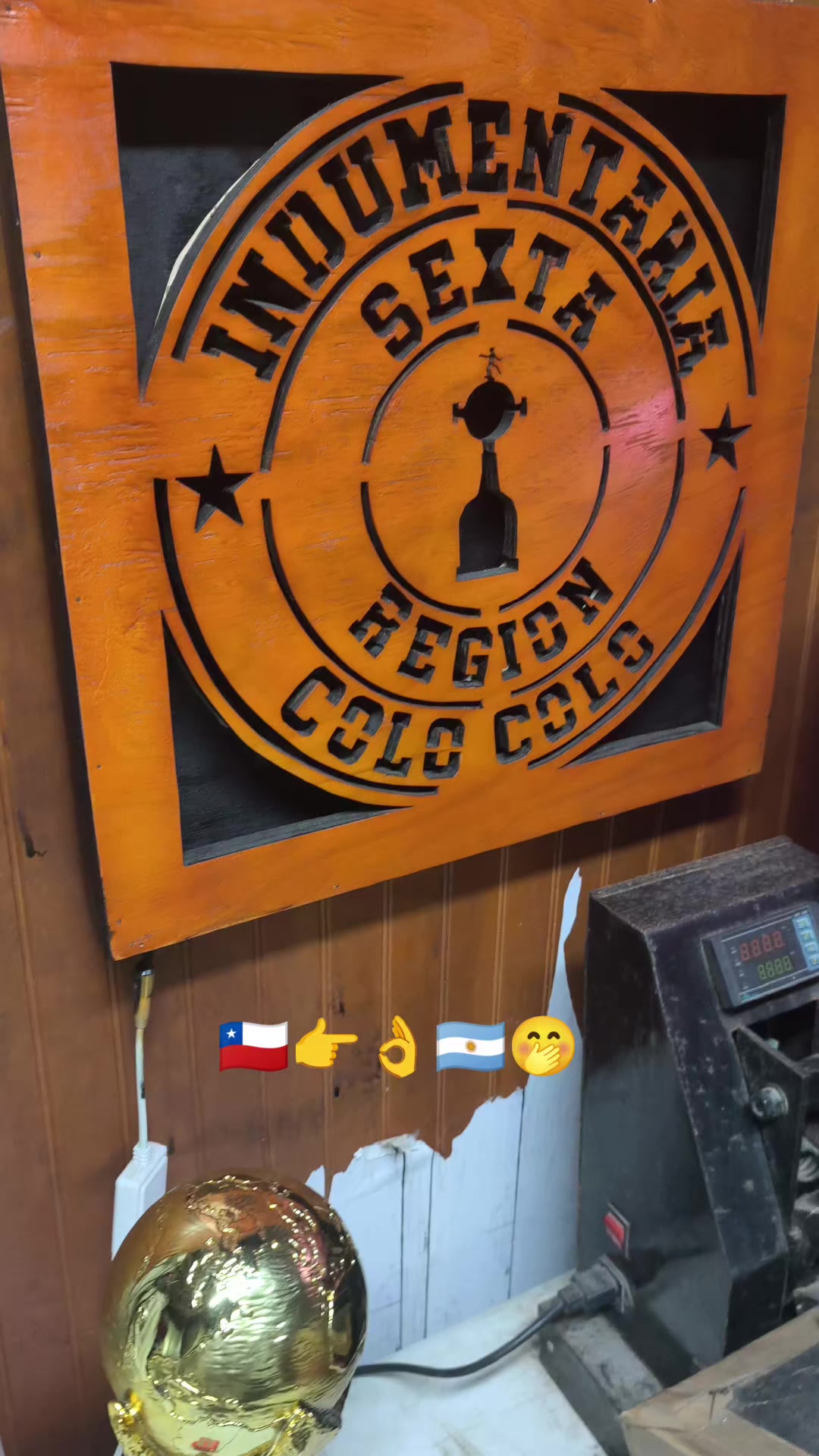 @indumentaria_colocolo_6