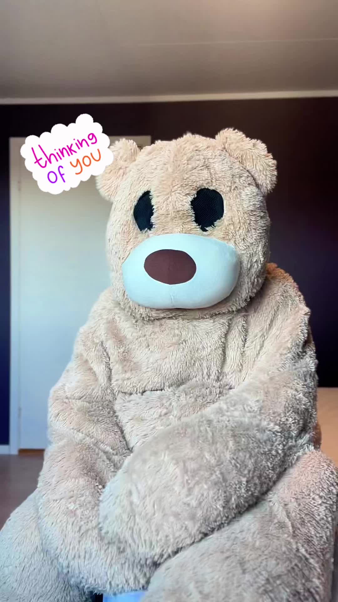 @teddytok