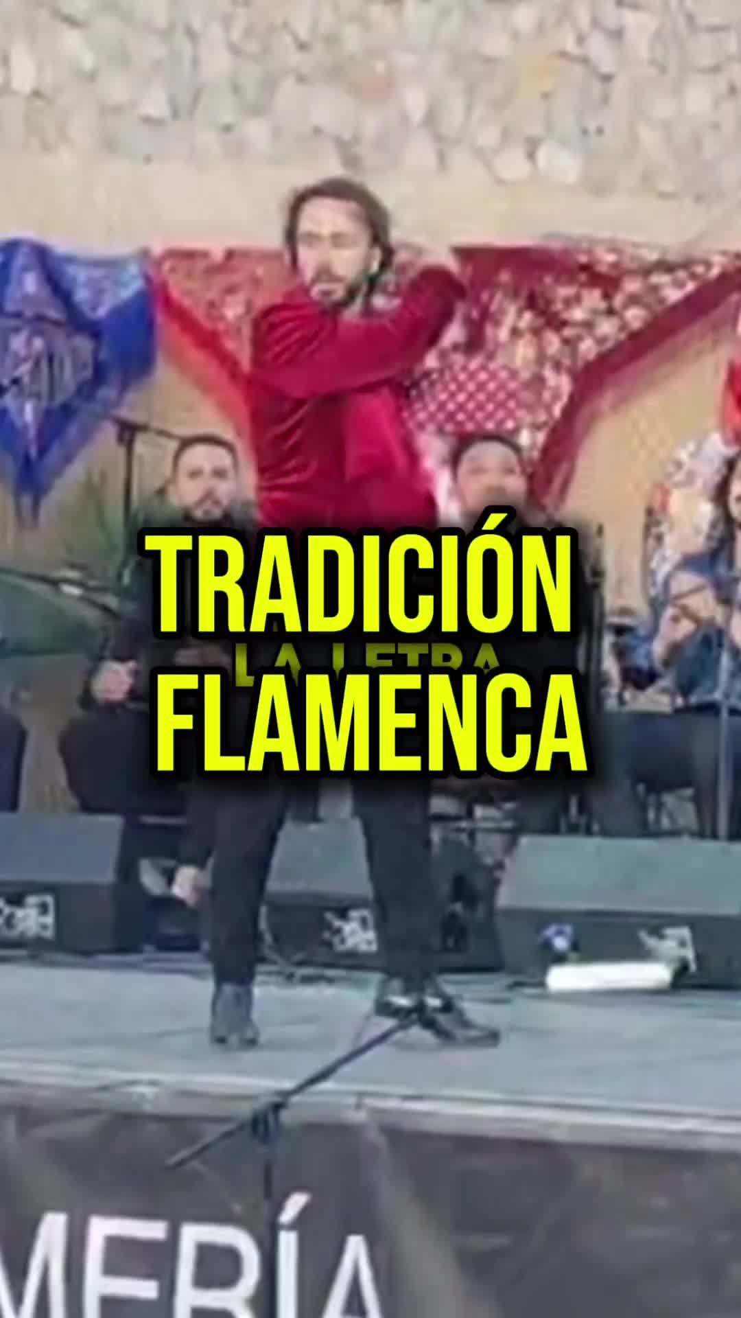 @Mario de los Santos Flamenco