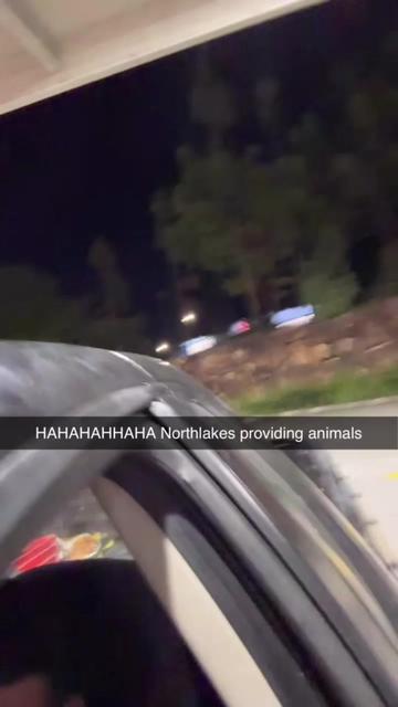 @Taylor Prosser