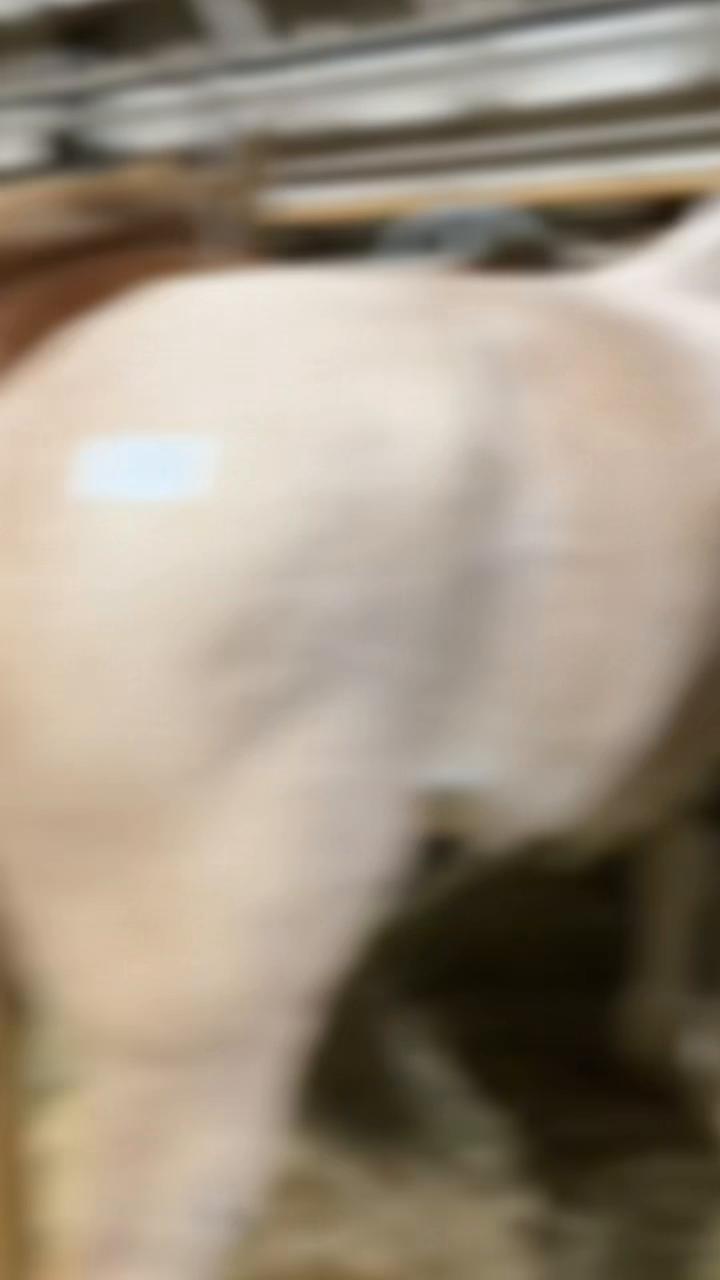 @Micahel