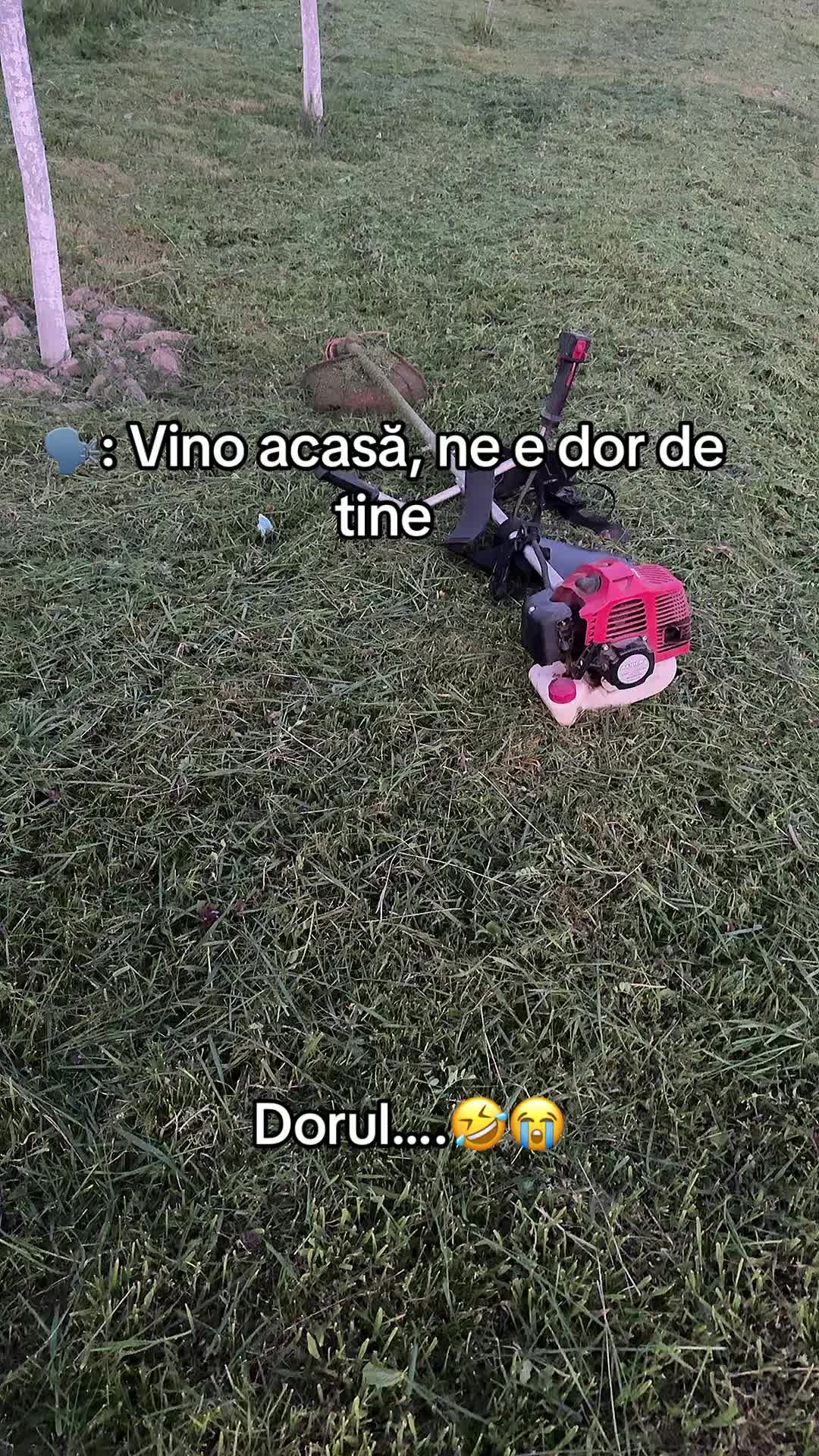 @Mario 💙