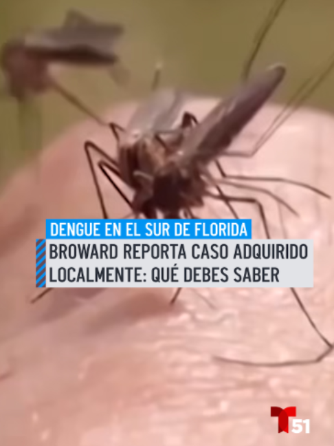 @Telemundo51Miami