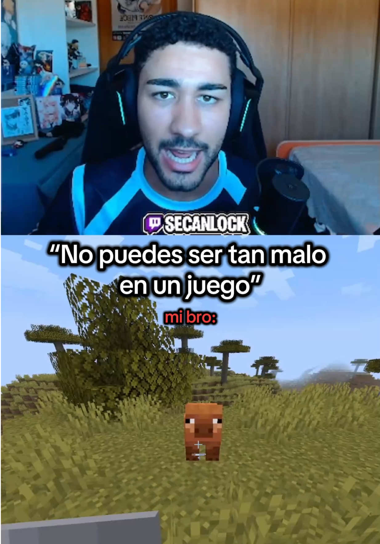 @secanlock
