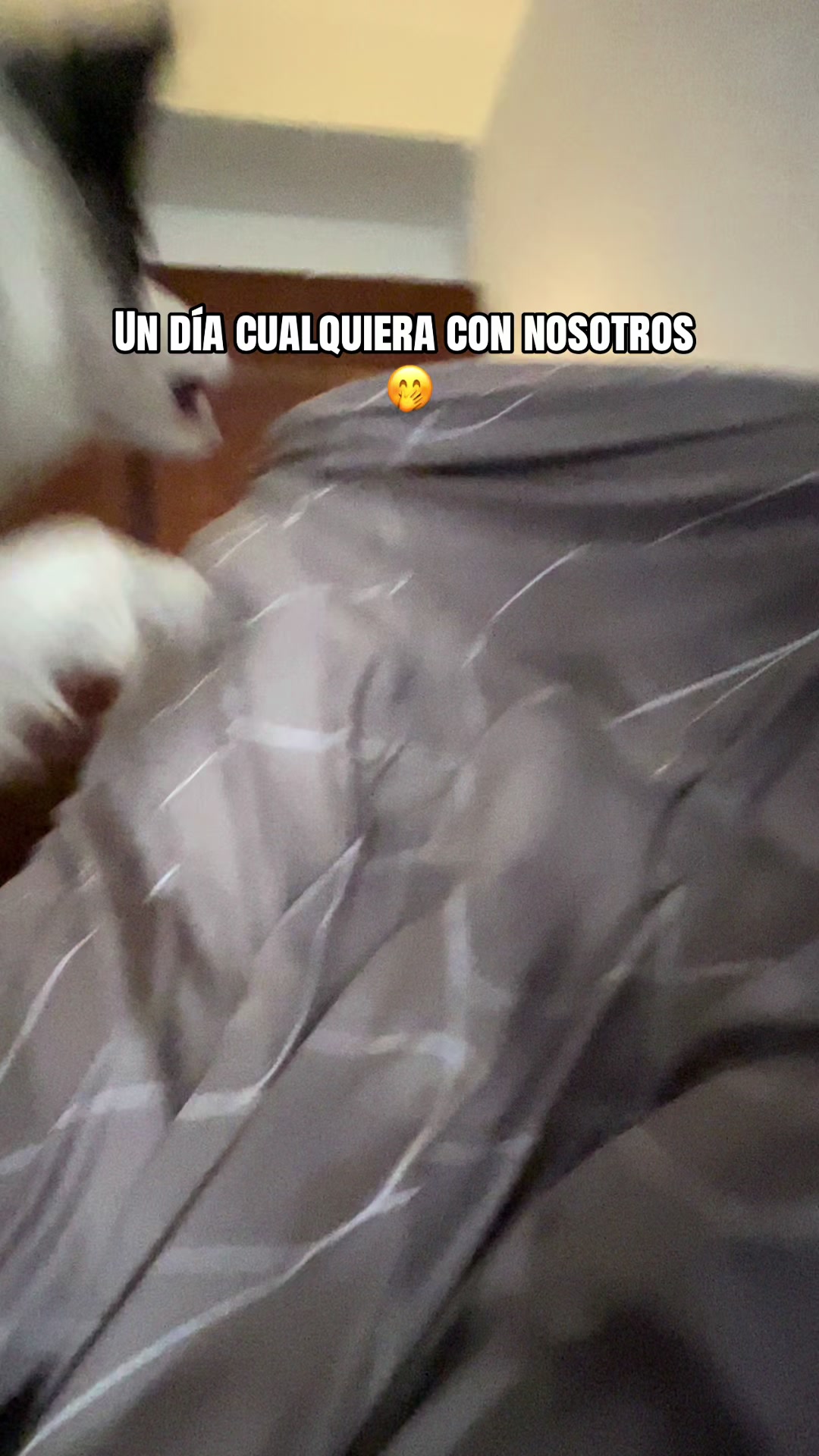 @Ares y Aura