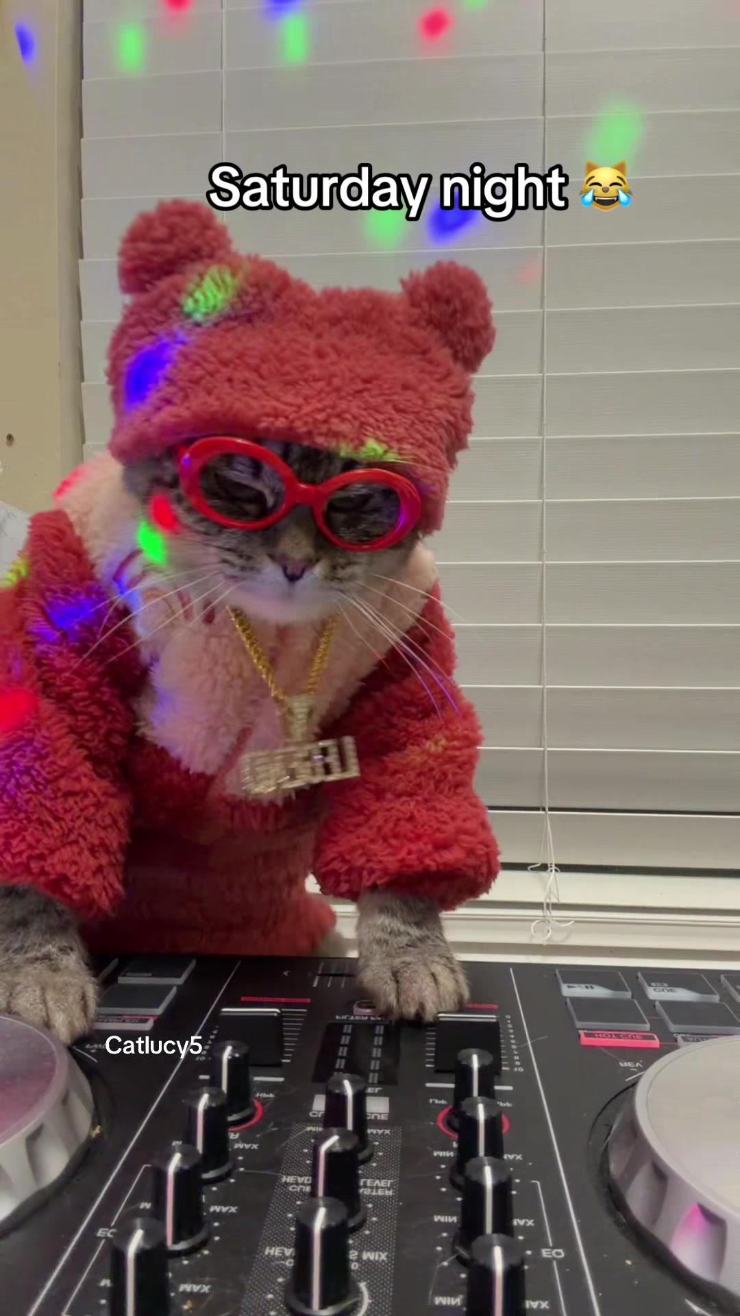 @Cat Lucy
