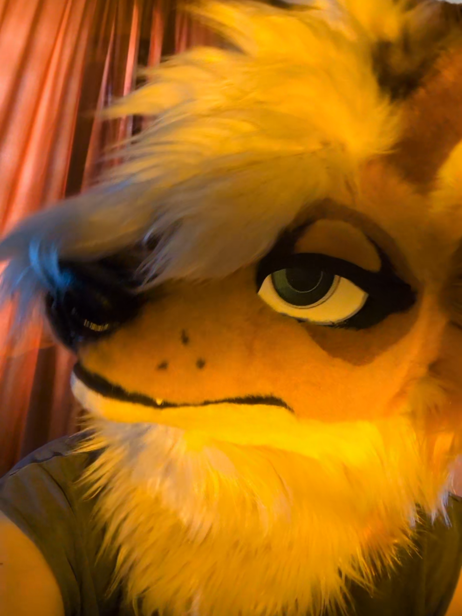 @Fen