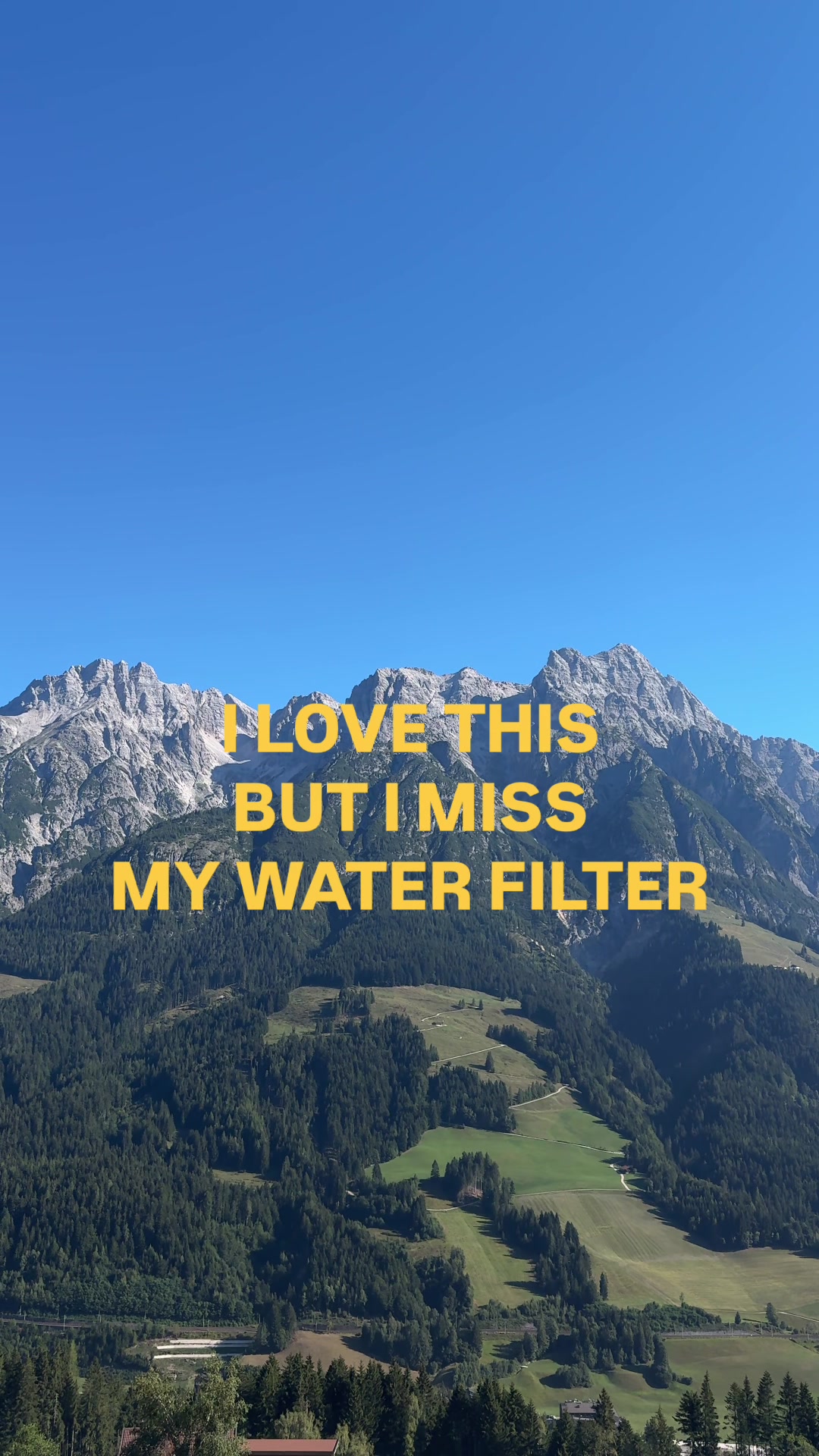 @Alicia