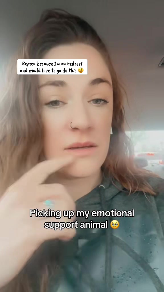 @Casey Rae