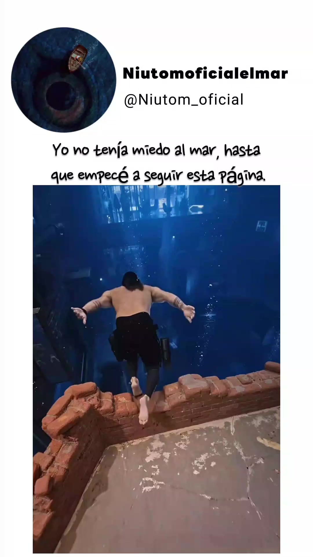 @🌊️niutom oficial el mar 🌊