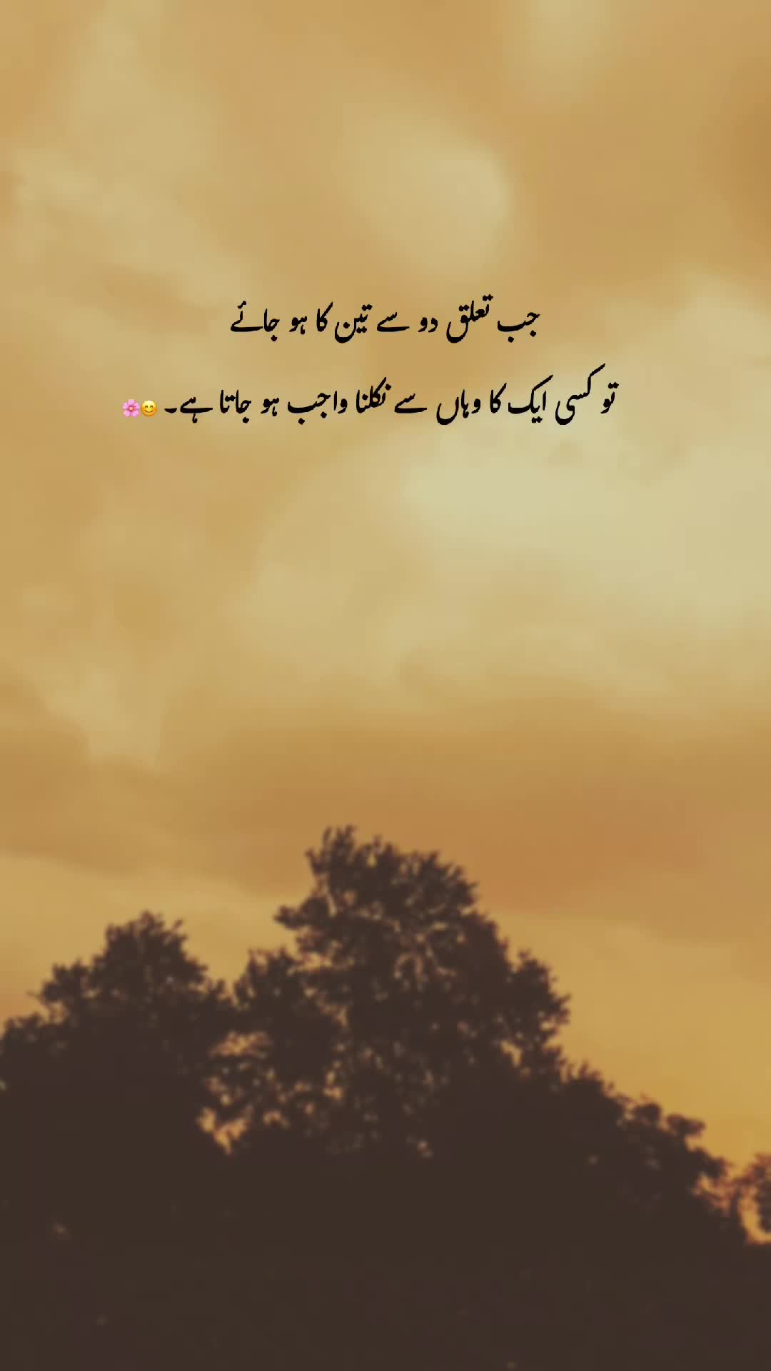 @𓆩♡𓆪