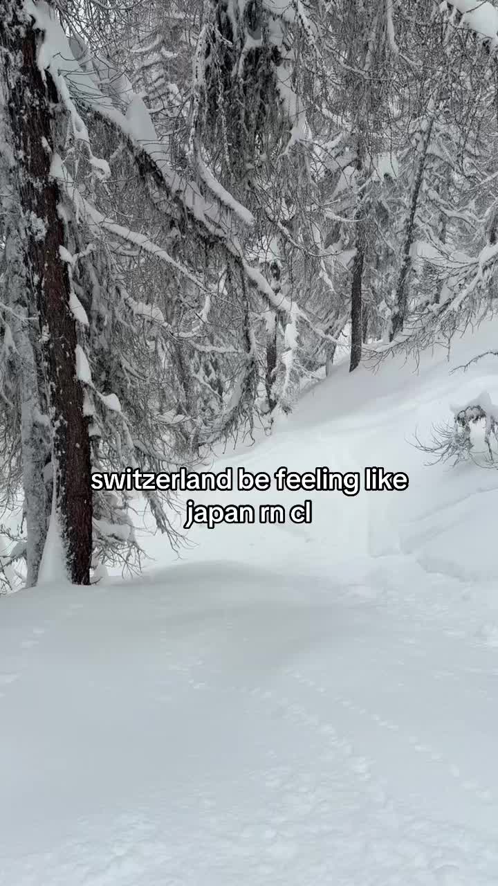 @stella