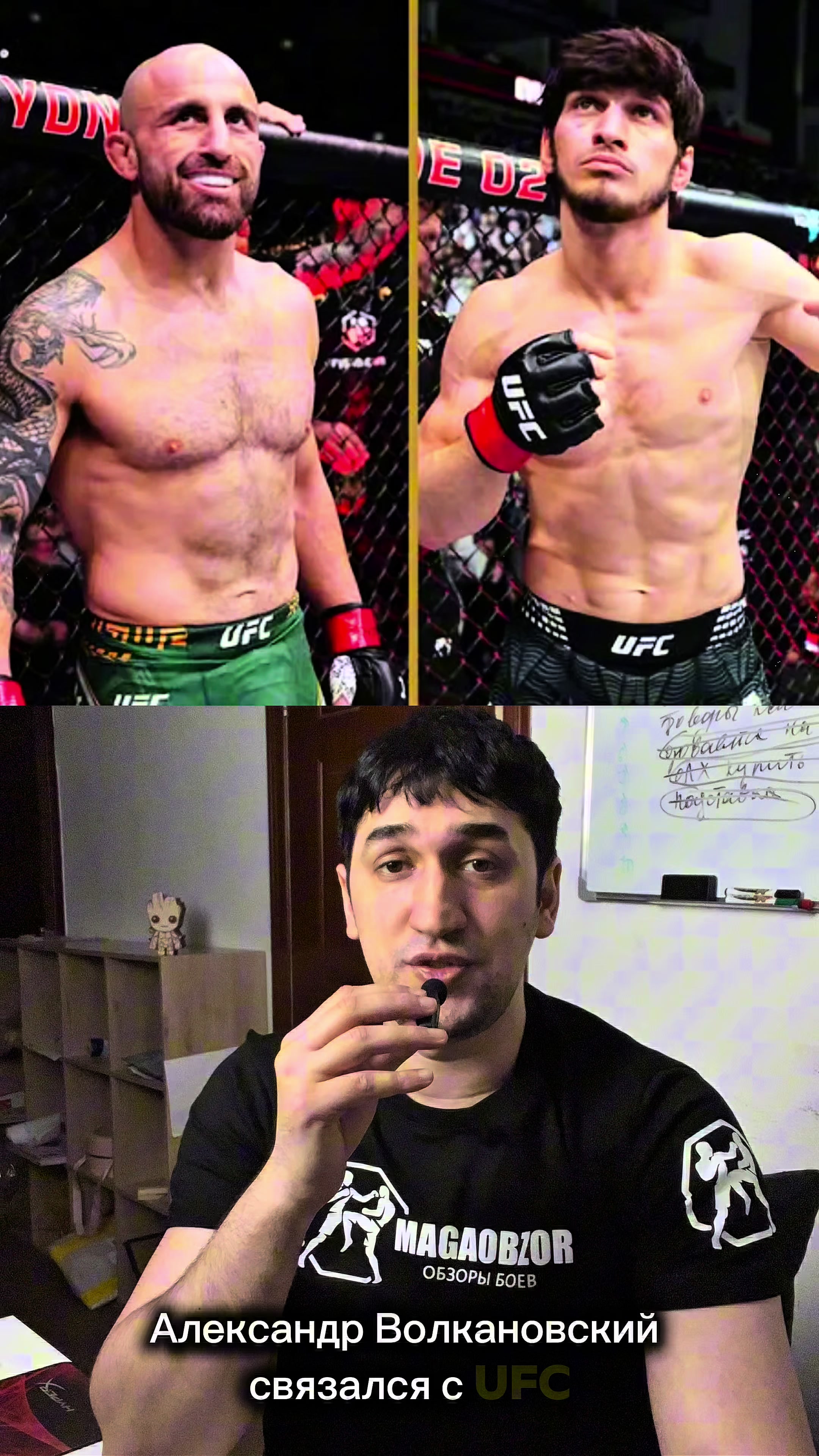 @Magaobzor MMA- K-1