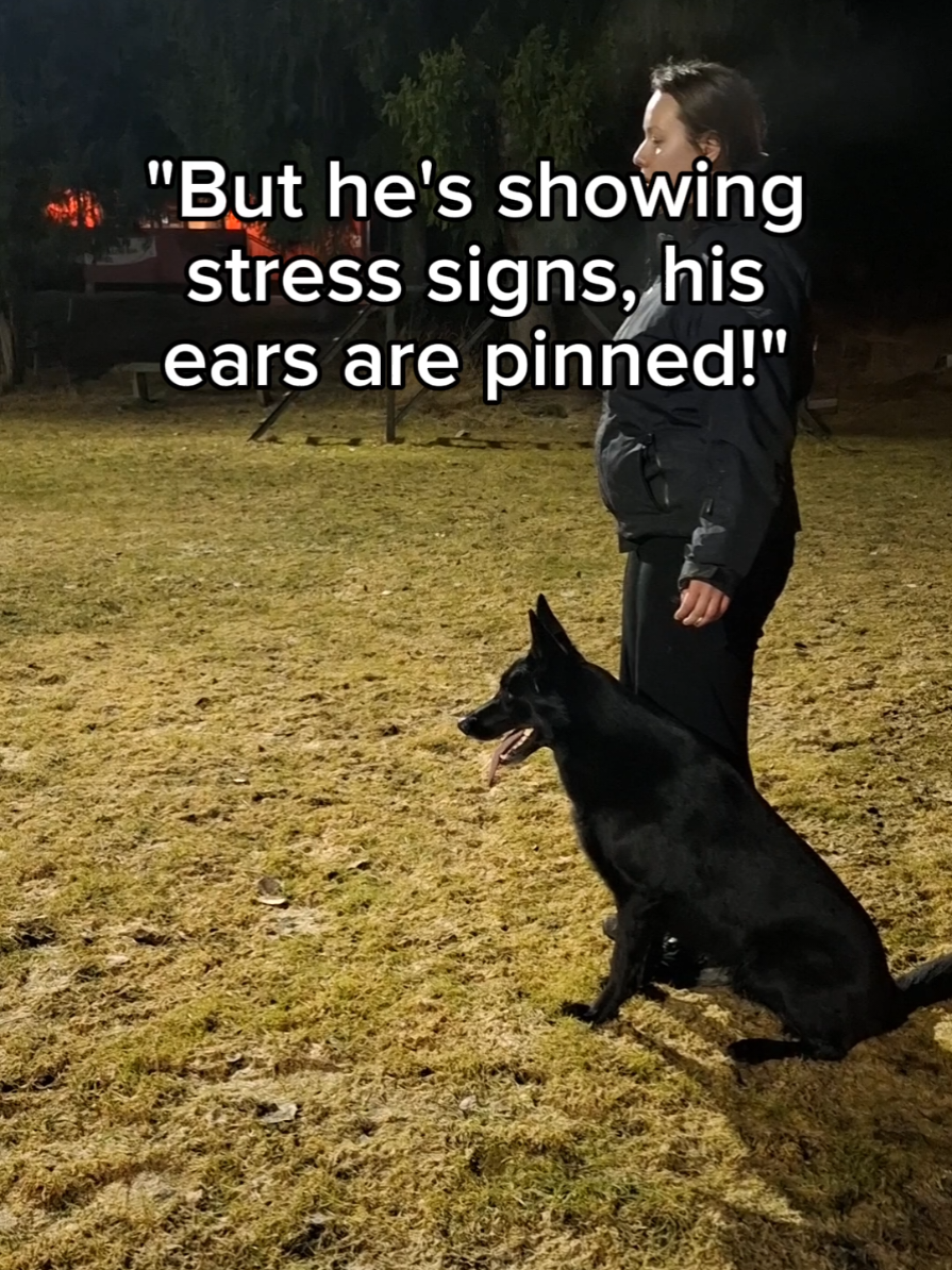 @offbrandgsd