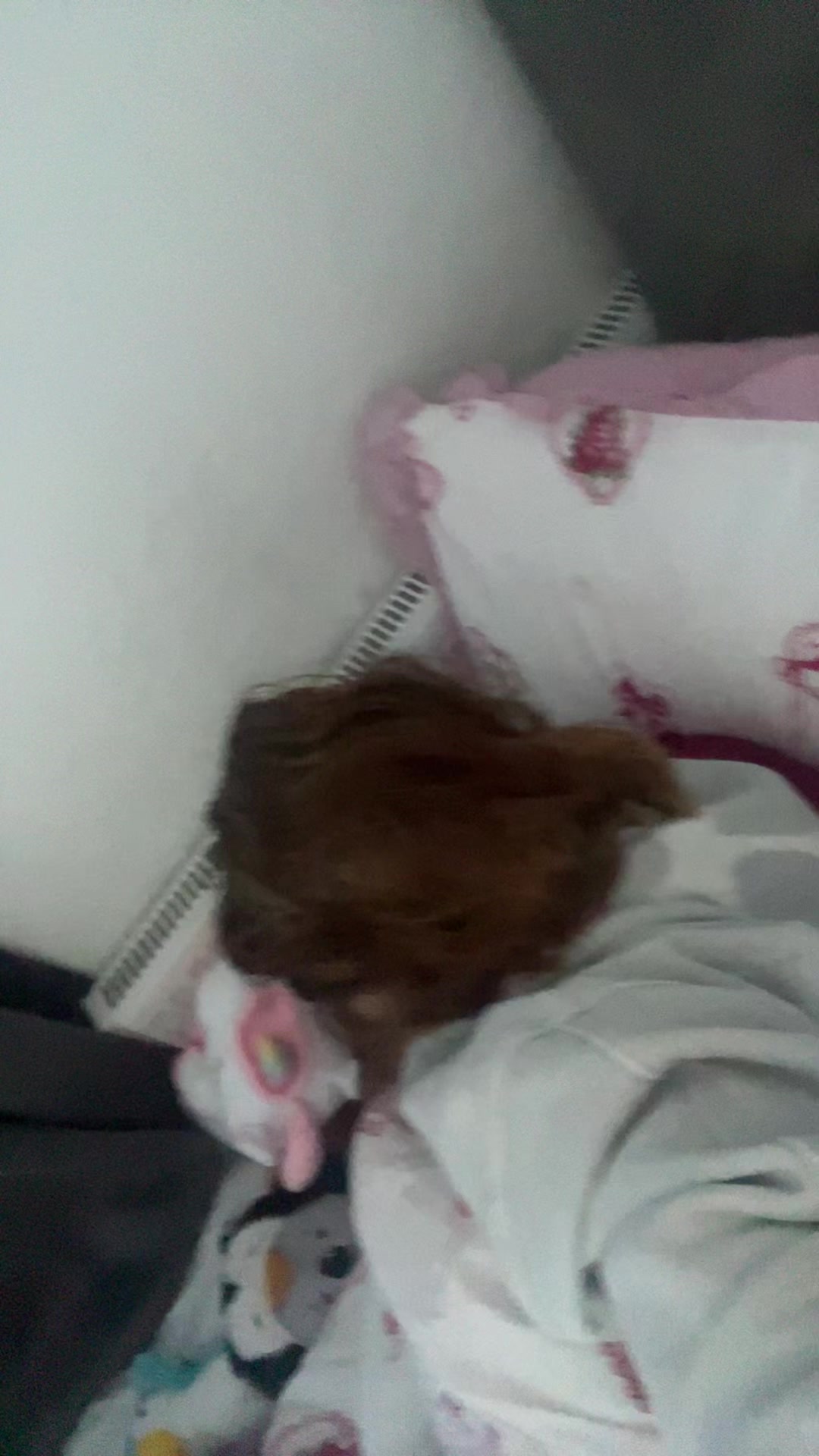 @roisintwx