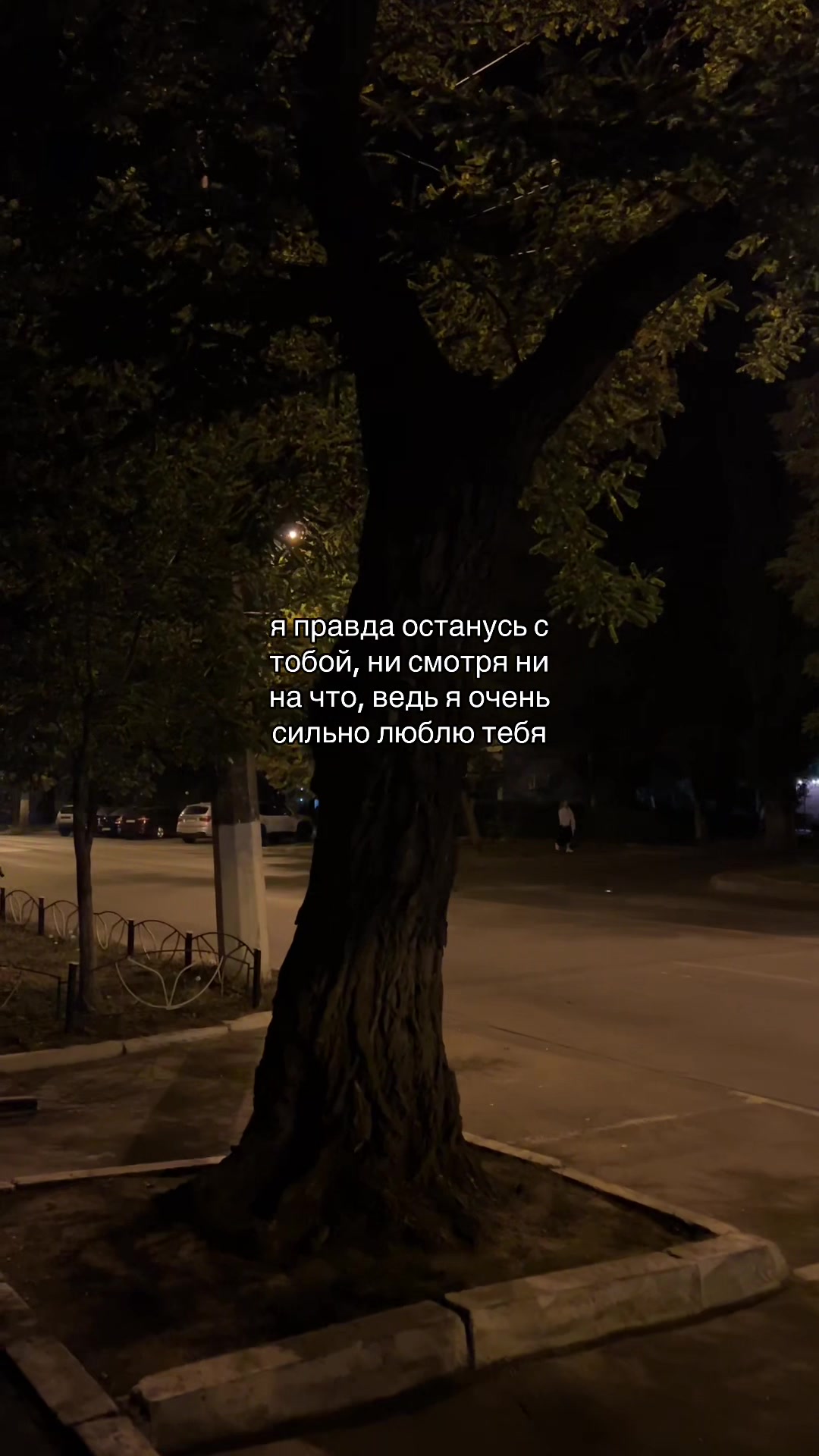 @кис кис💗