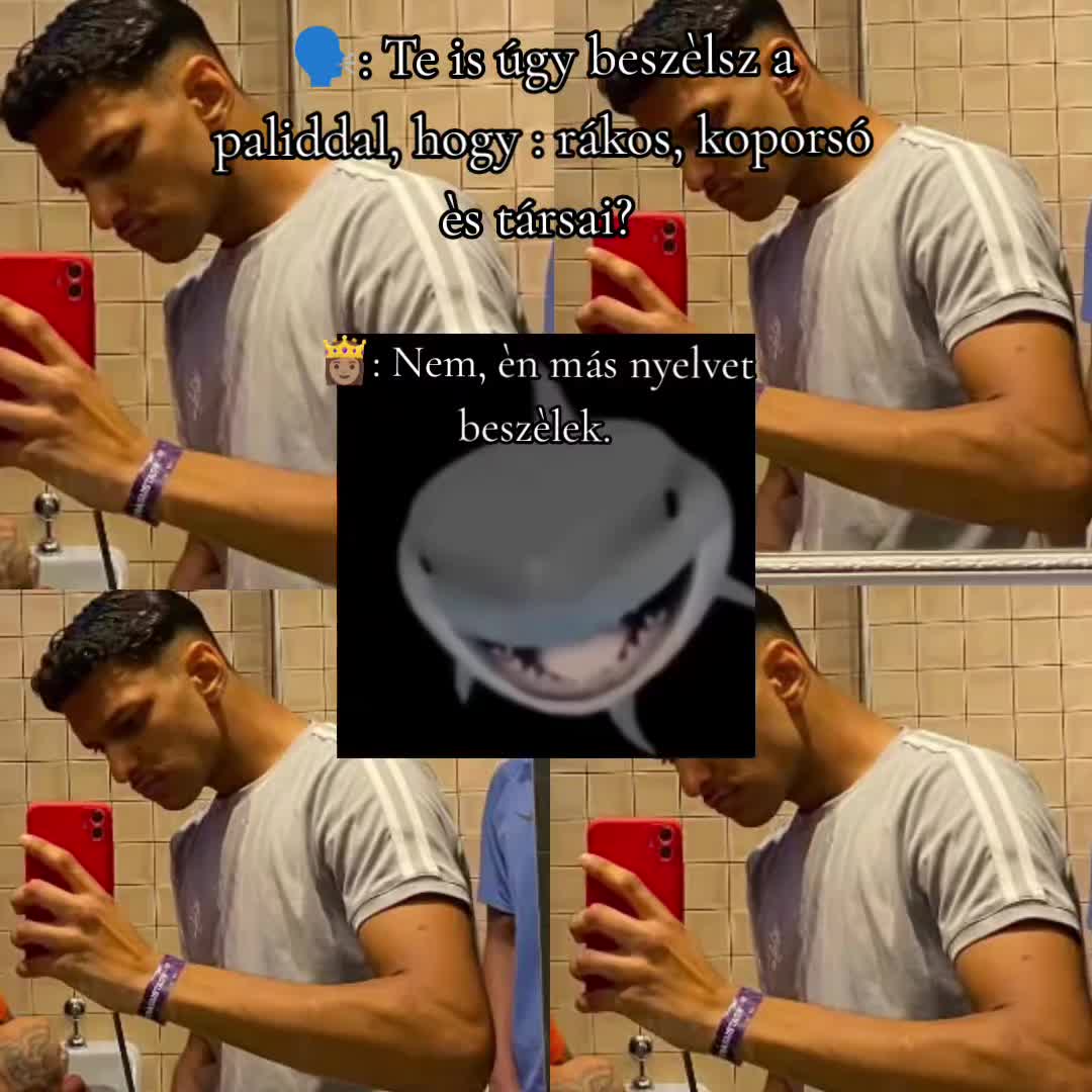 @✨𝓐𝓷𝓭𝓲𝓴𝓪✨