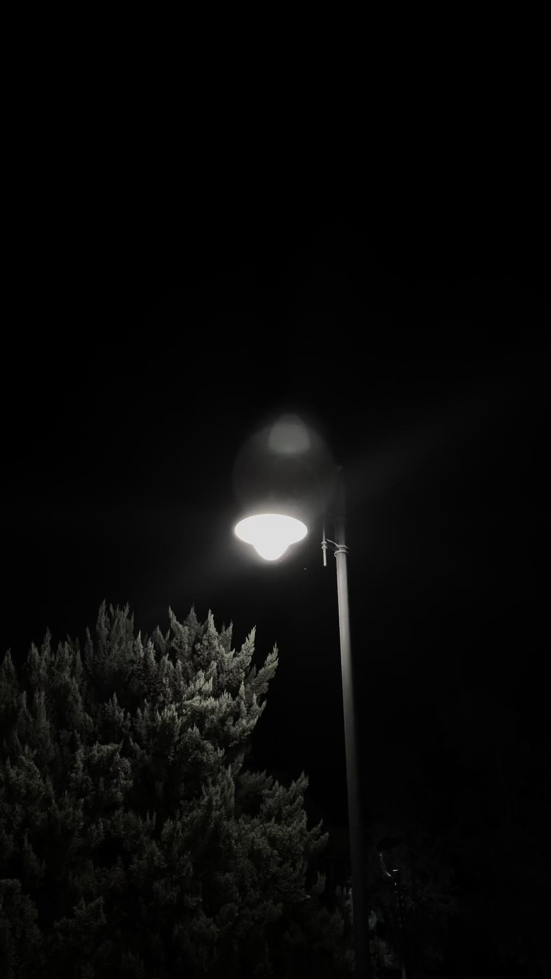 @𝑨𝒃𝒖𝒔𝒉𝒐𝒘