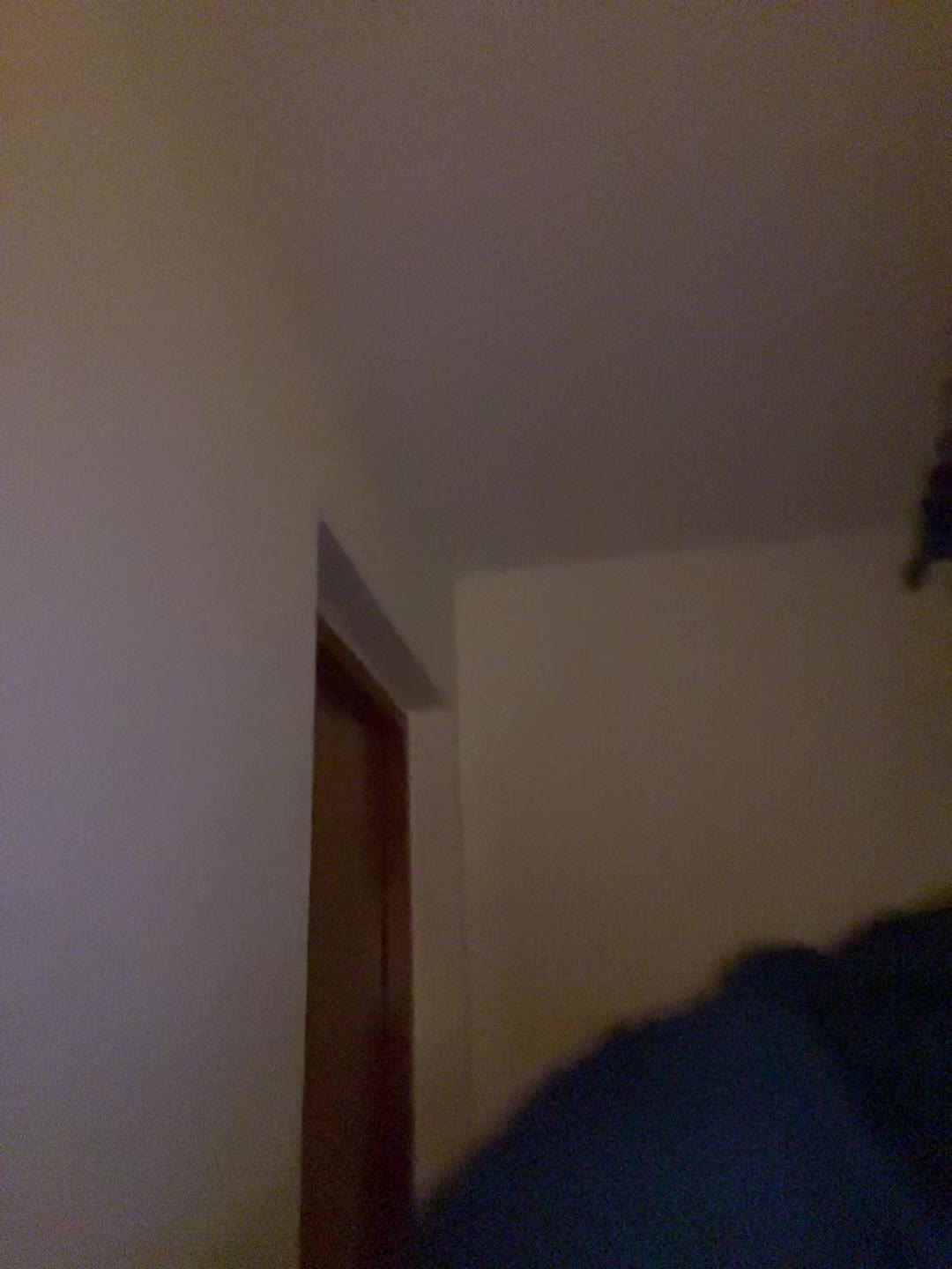@Moussa X Steeppaa