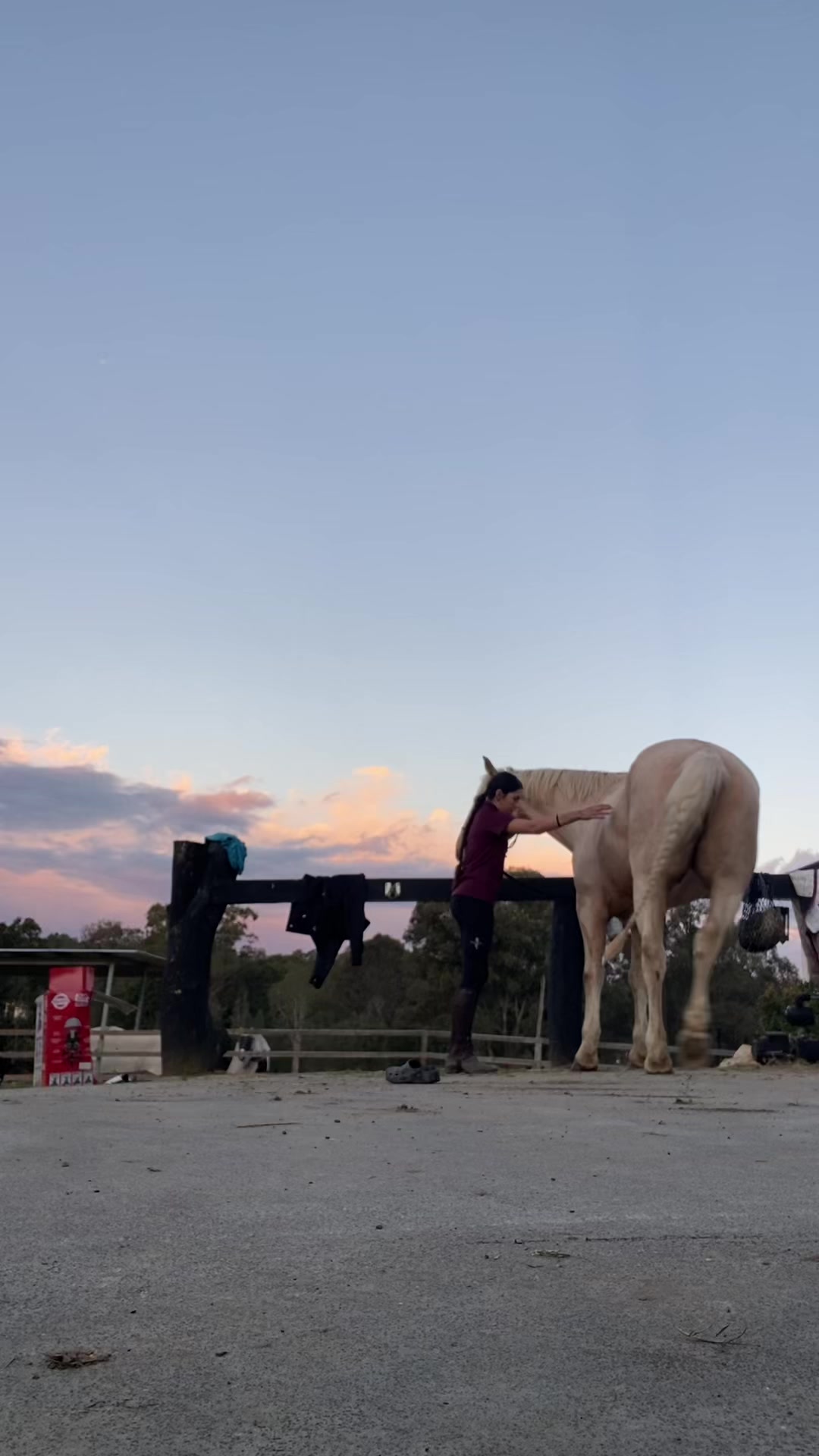 @𝒽𝒶𝓇𝓁𝒾𝒶𝒽 ♡