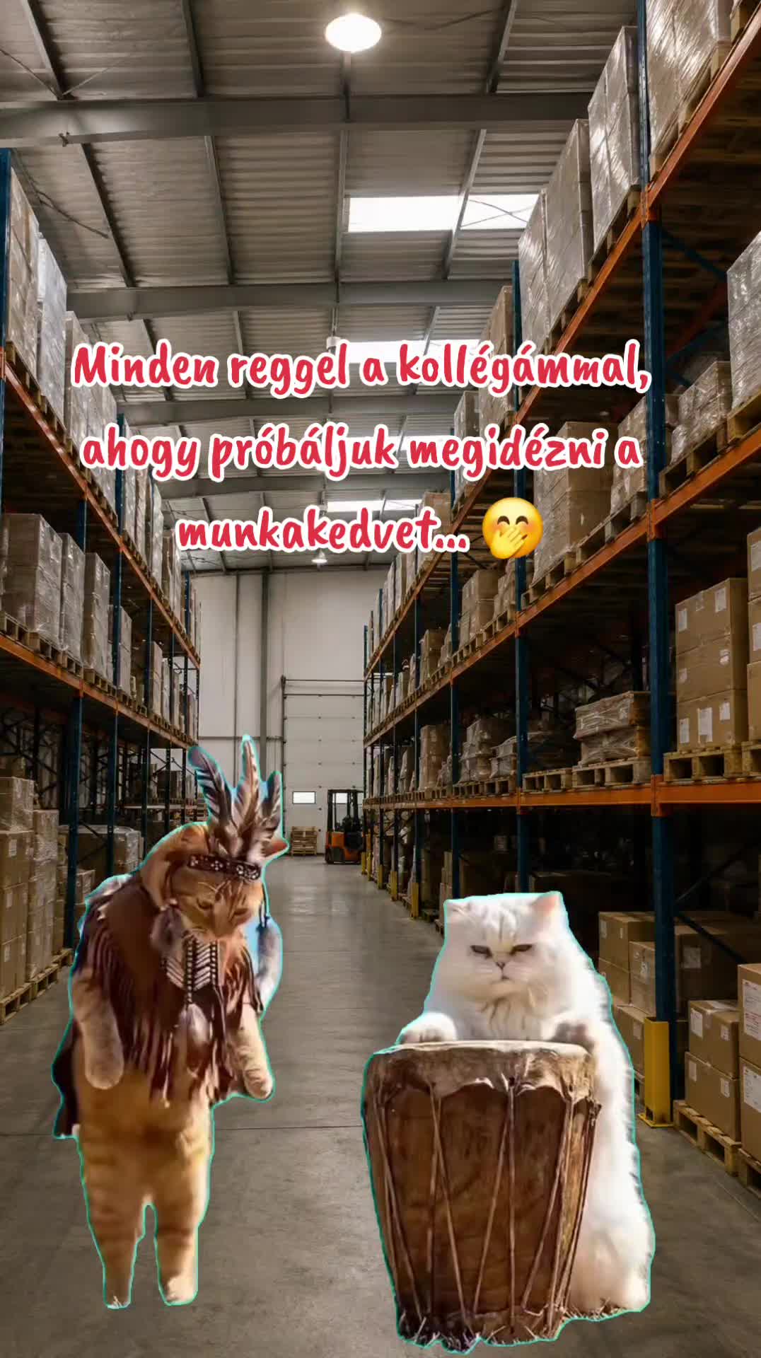 @Szabi 🇩🇪