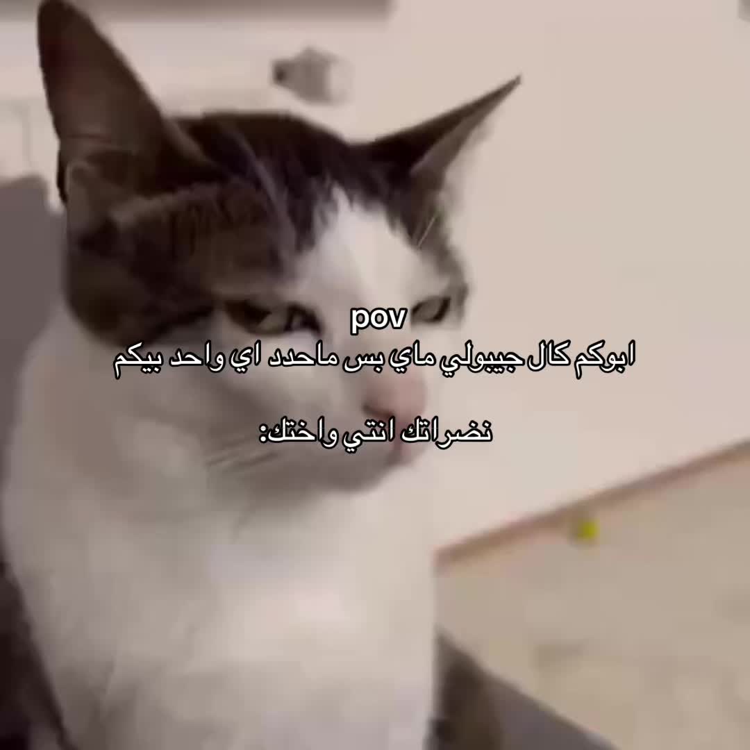 @"||🇮🇶(ارد المتابعه)"