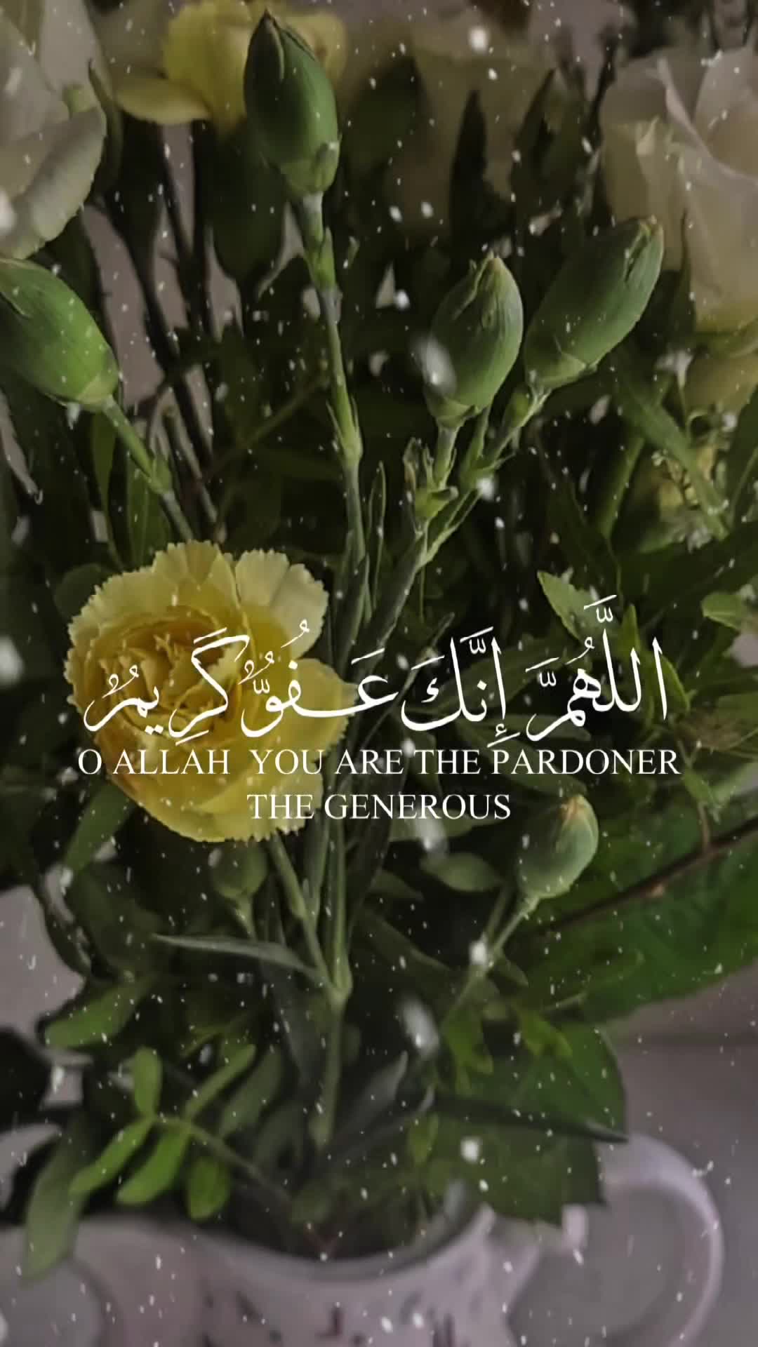 @Pray4WorldPeace