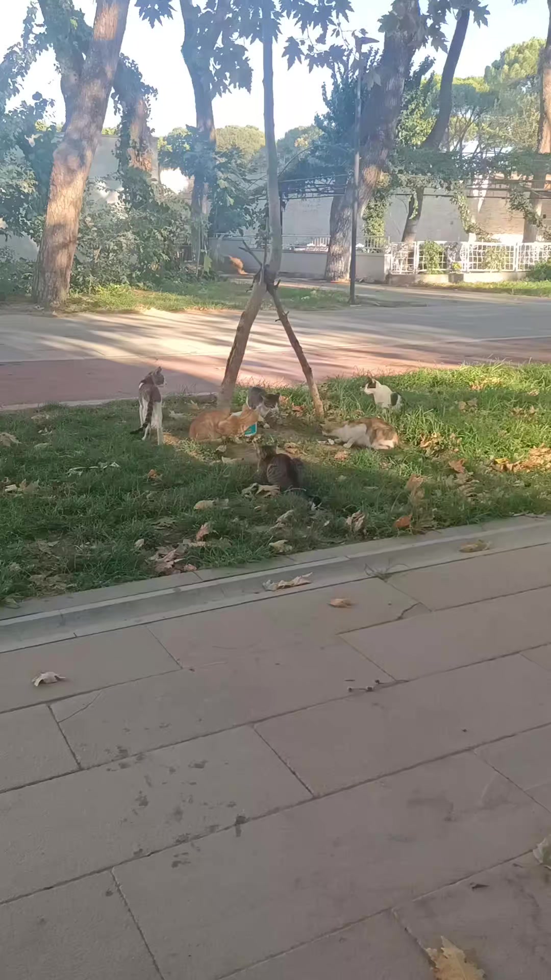 @minnoşlarim herşeyim♥️