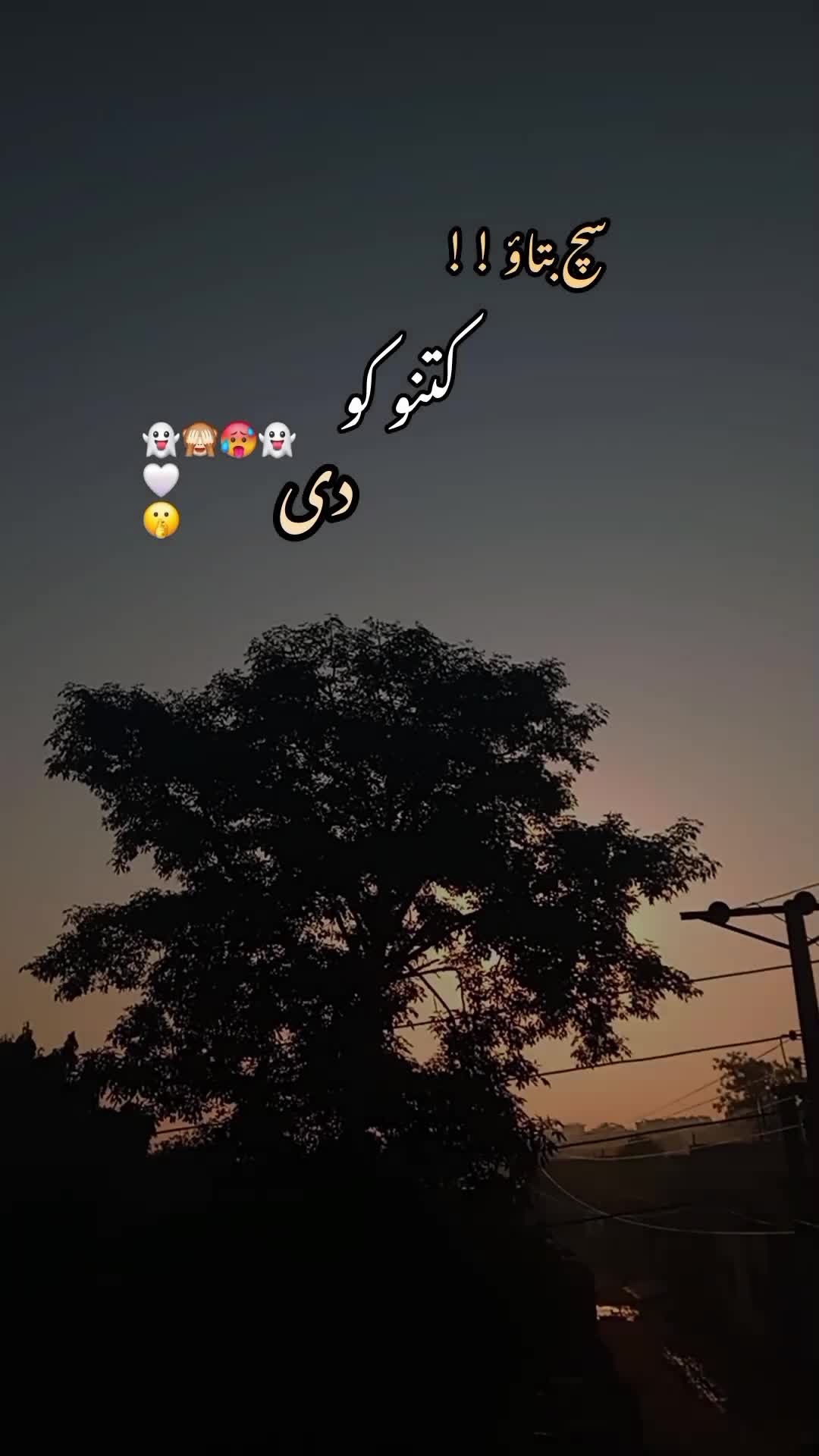 @Noor 𓍯𓂃ᥫ᭡.
