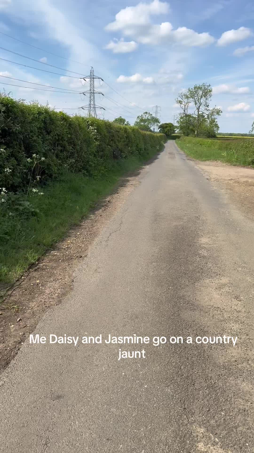 @Daisy's Autistic Day