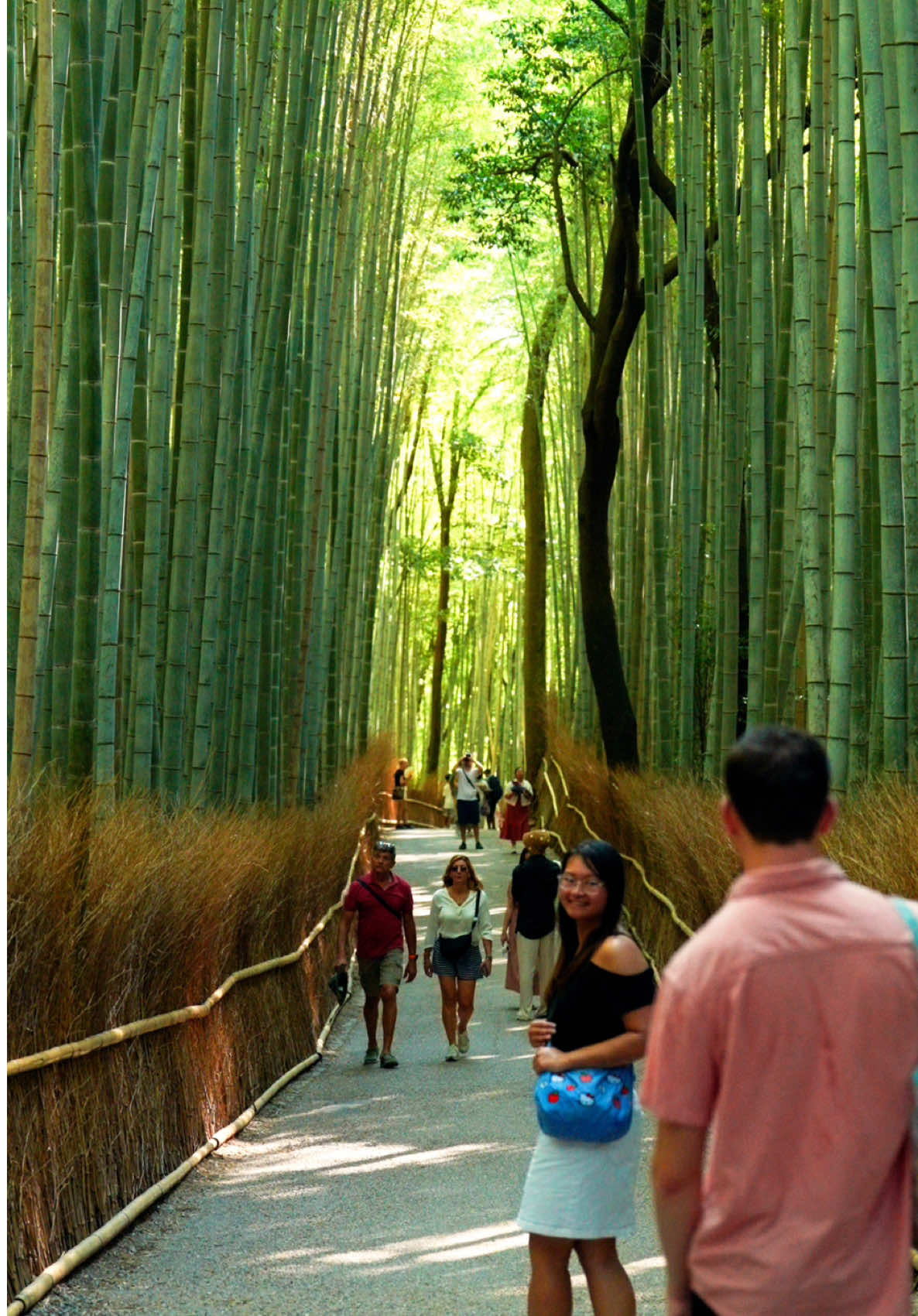 @Cotton | Japan Travel 🇯🇵