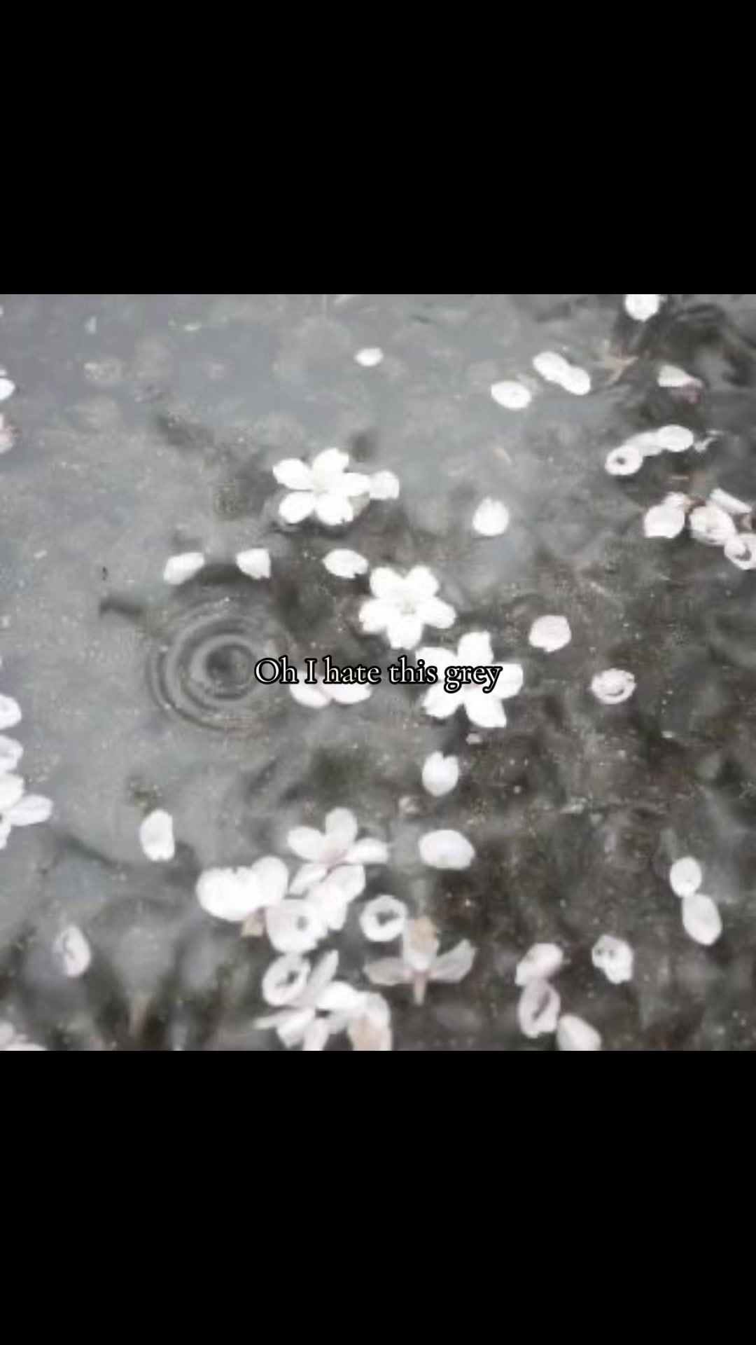 @๐หเฟ๐ฆข๐๐หโ